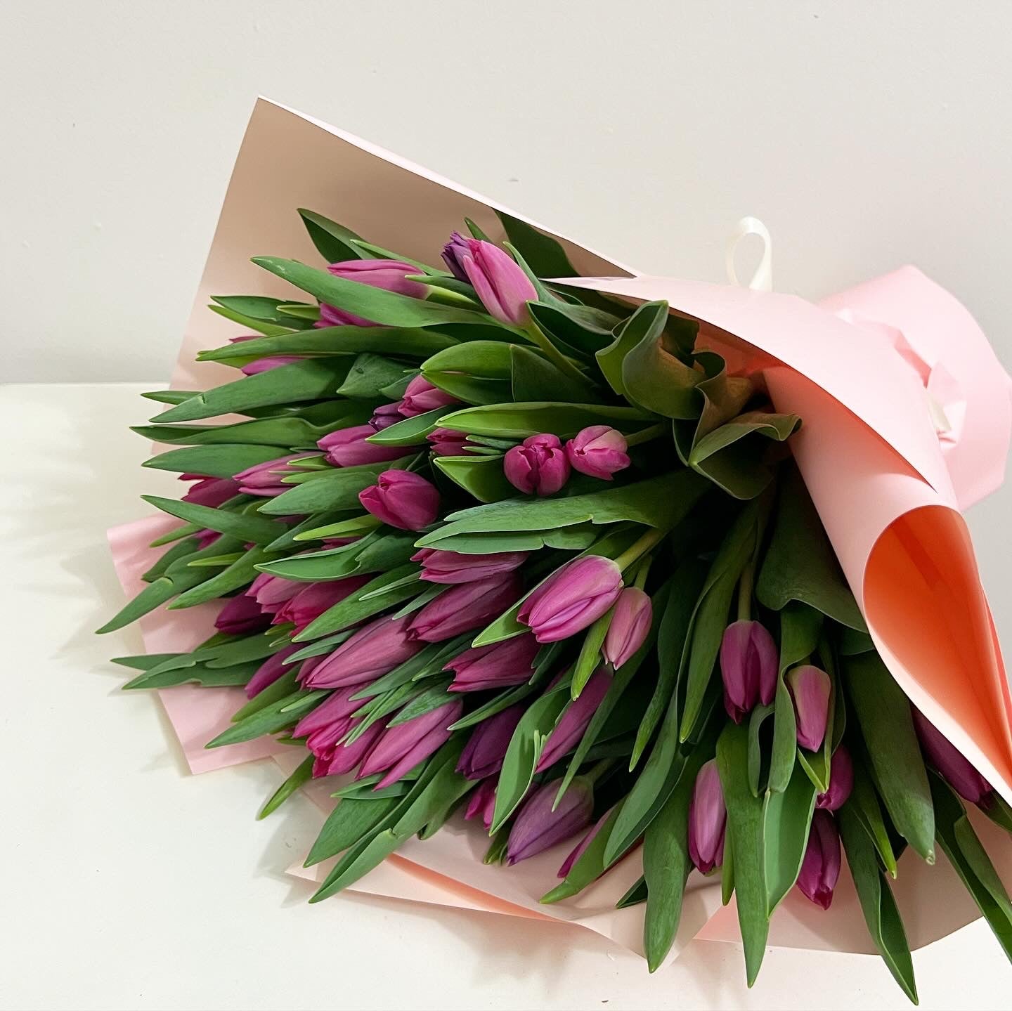 75 Pink Tulips