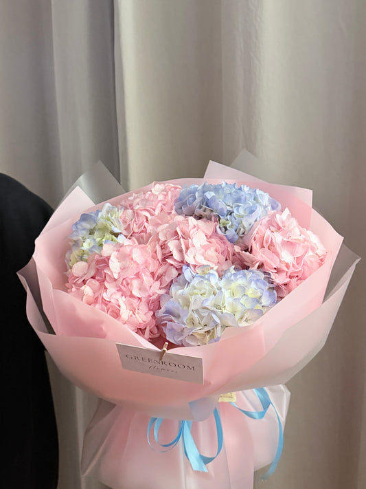 Pink & Sky Hydrangeas