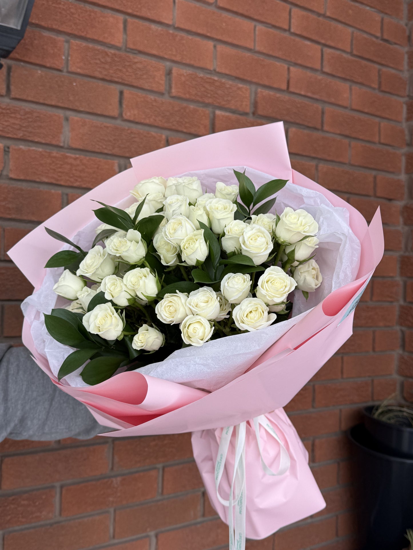 Pure Spray Roses