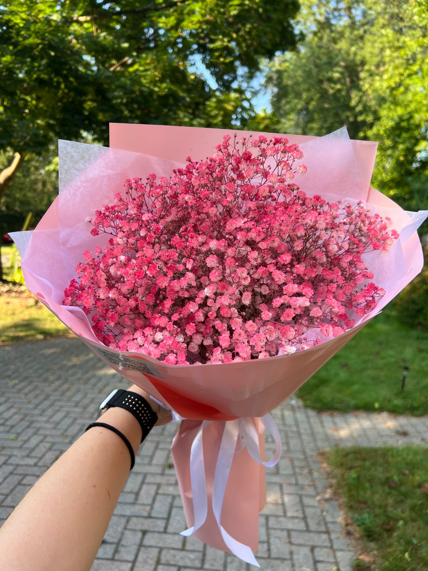 Pink Baby's Breath