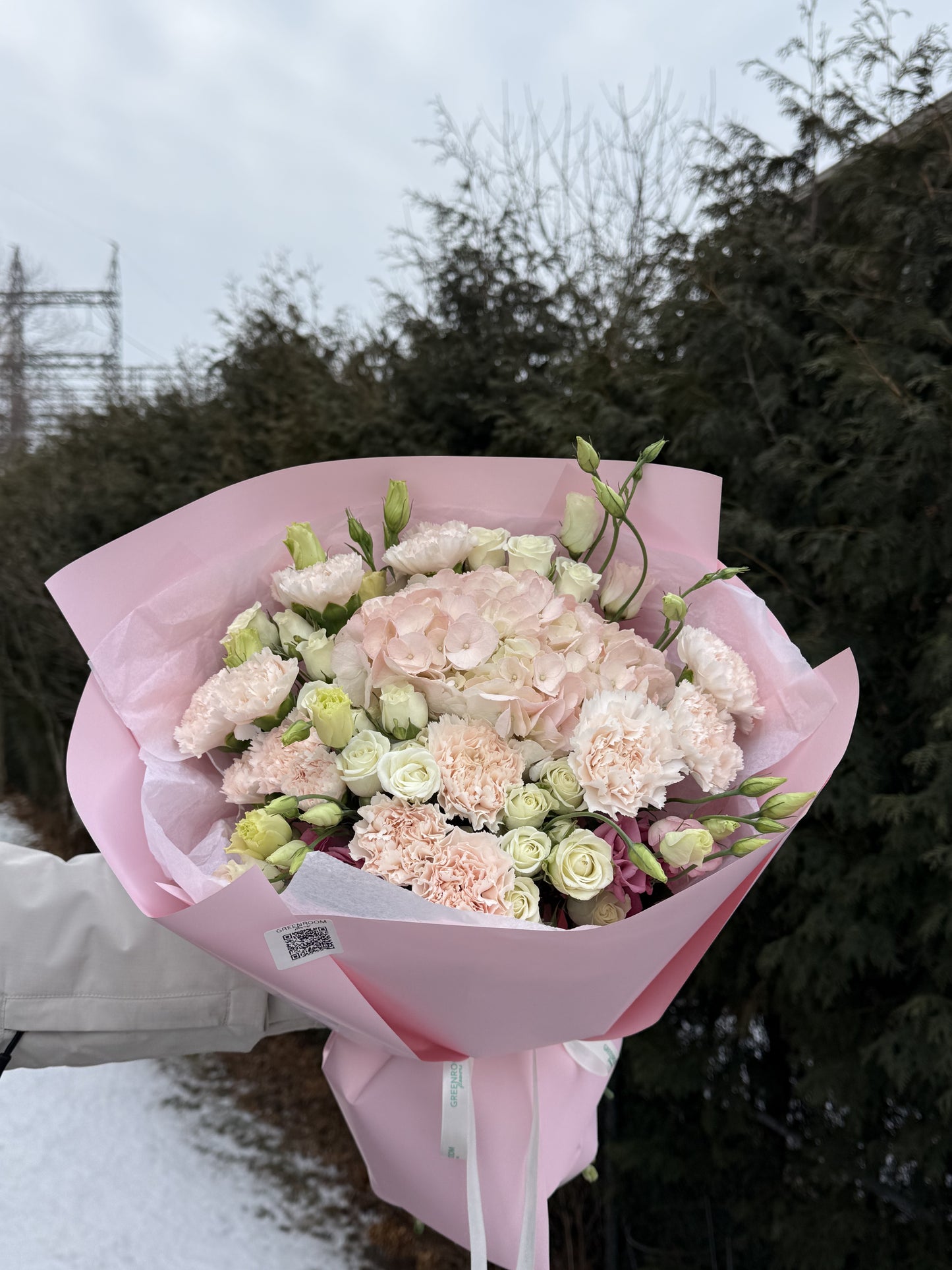 Blush Hydrangea & Carnation Dream