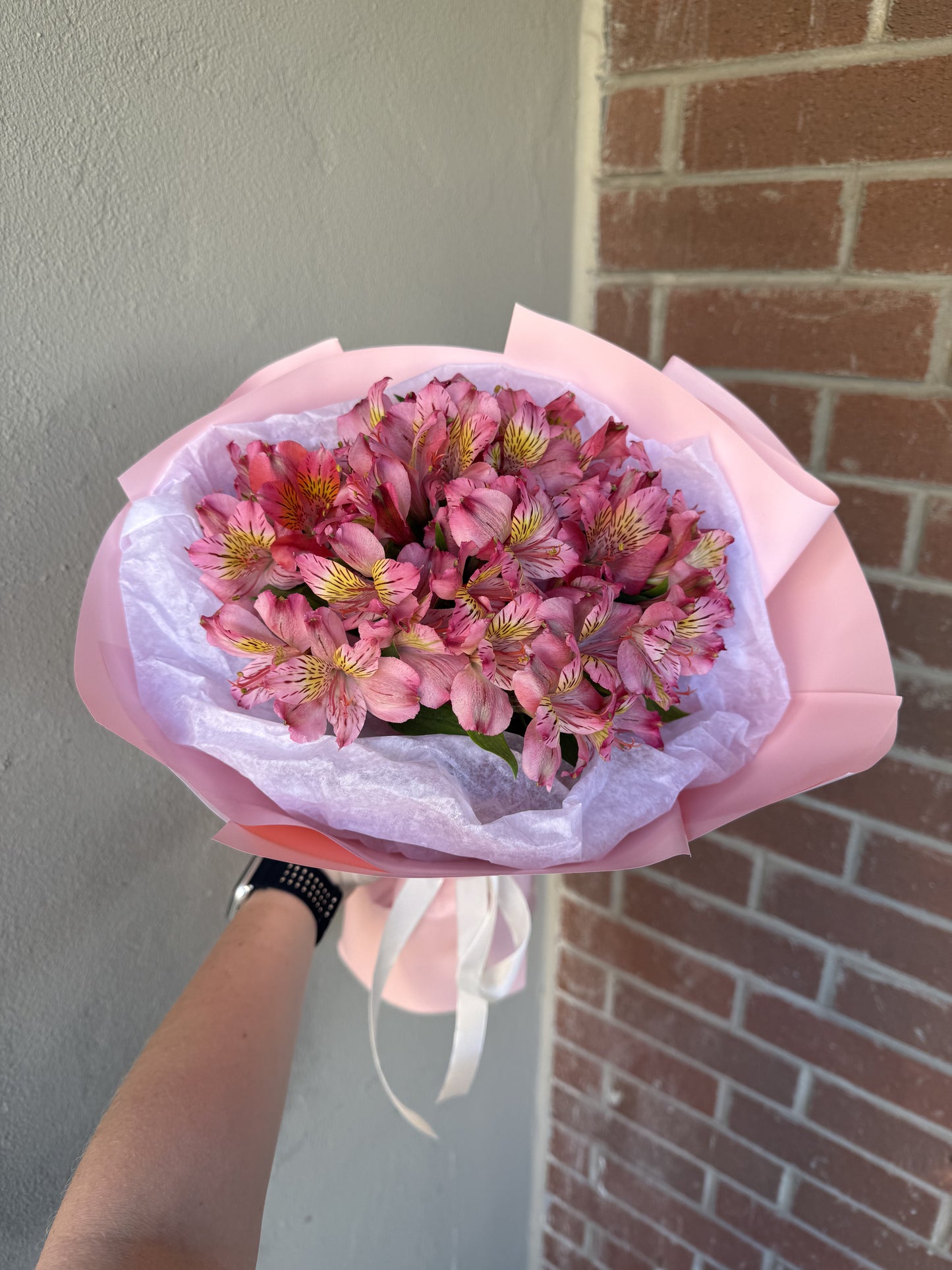 Pink Alstroemeria