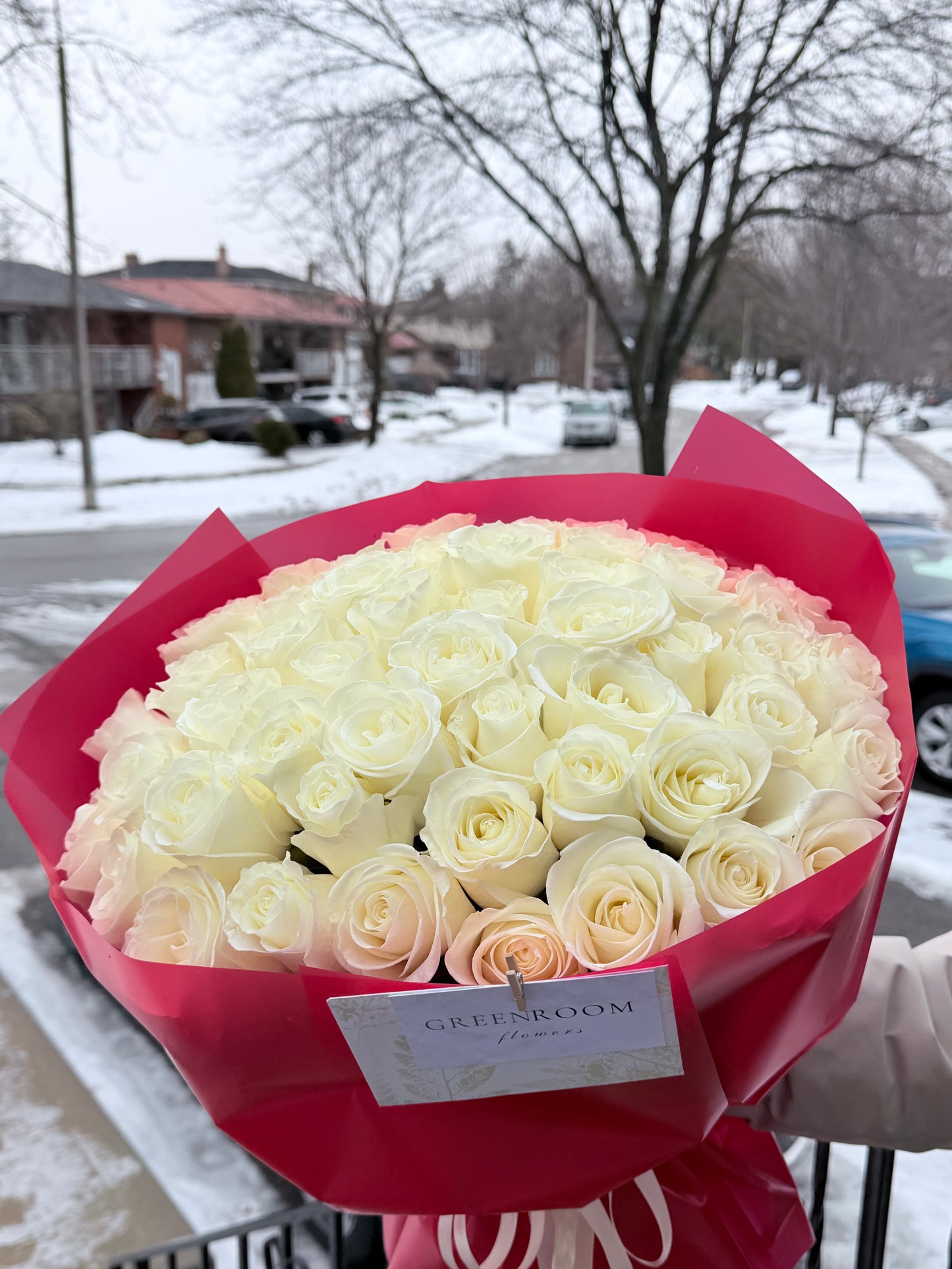 Ivory Roses