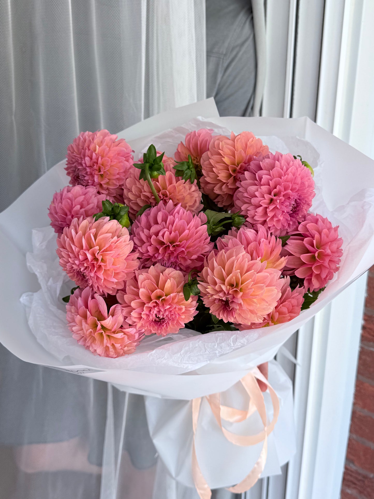 Peach Dahlia