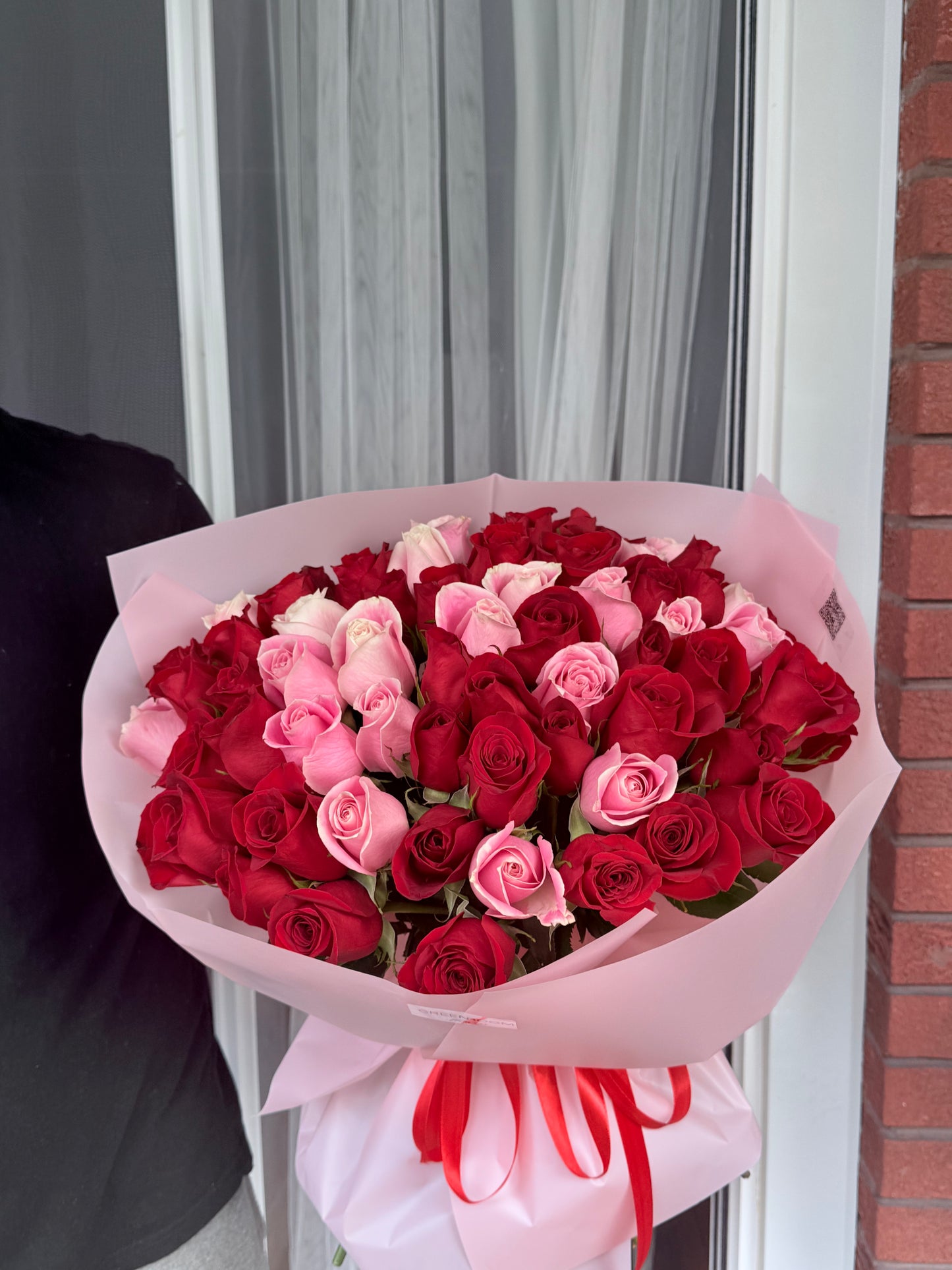 Scarlet & Velvet Rose