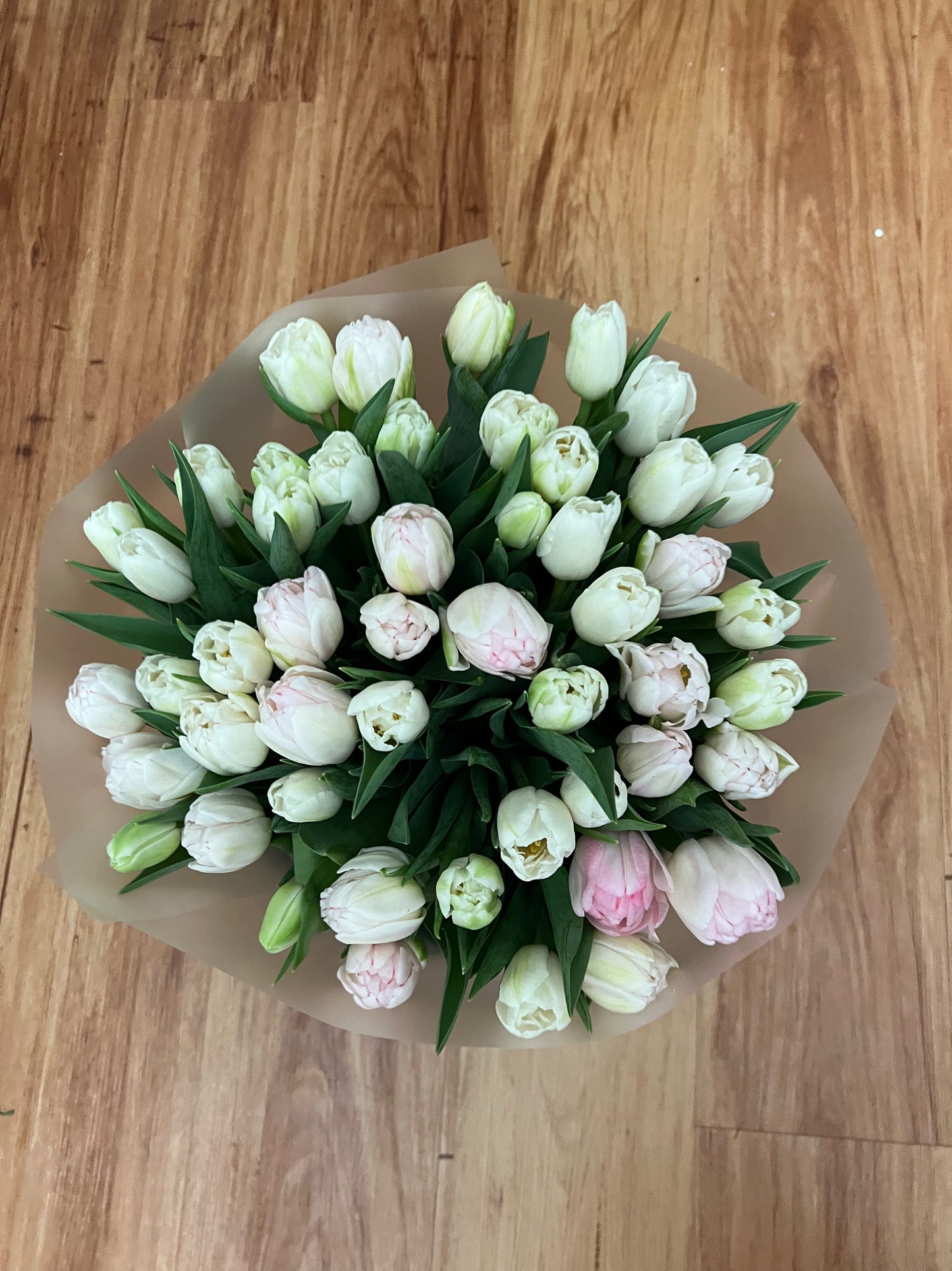 White and Pink Peony-Tulips