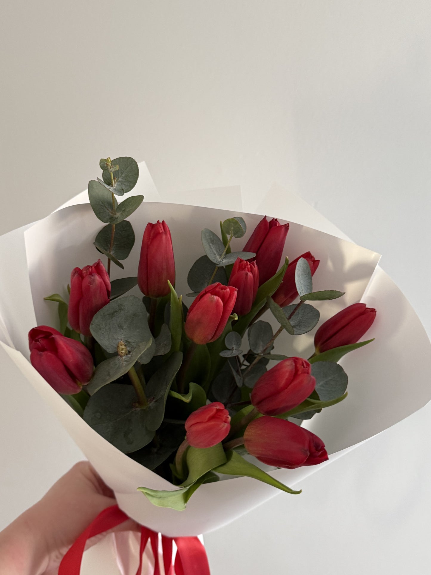 Red Tulip Bunch