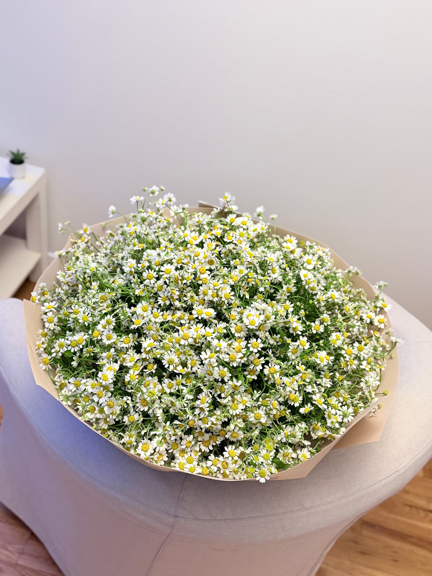 Chamomile Daisy Bouquet