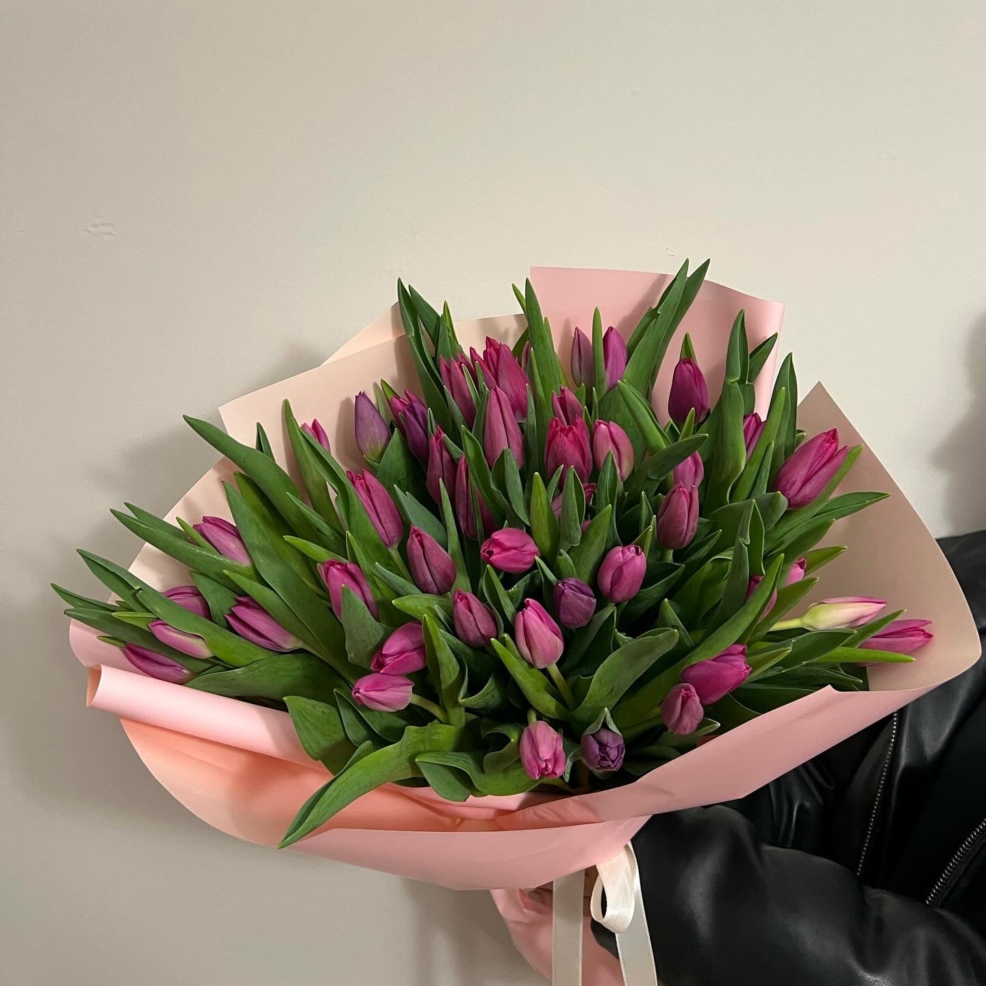 75 Pink Tulips