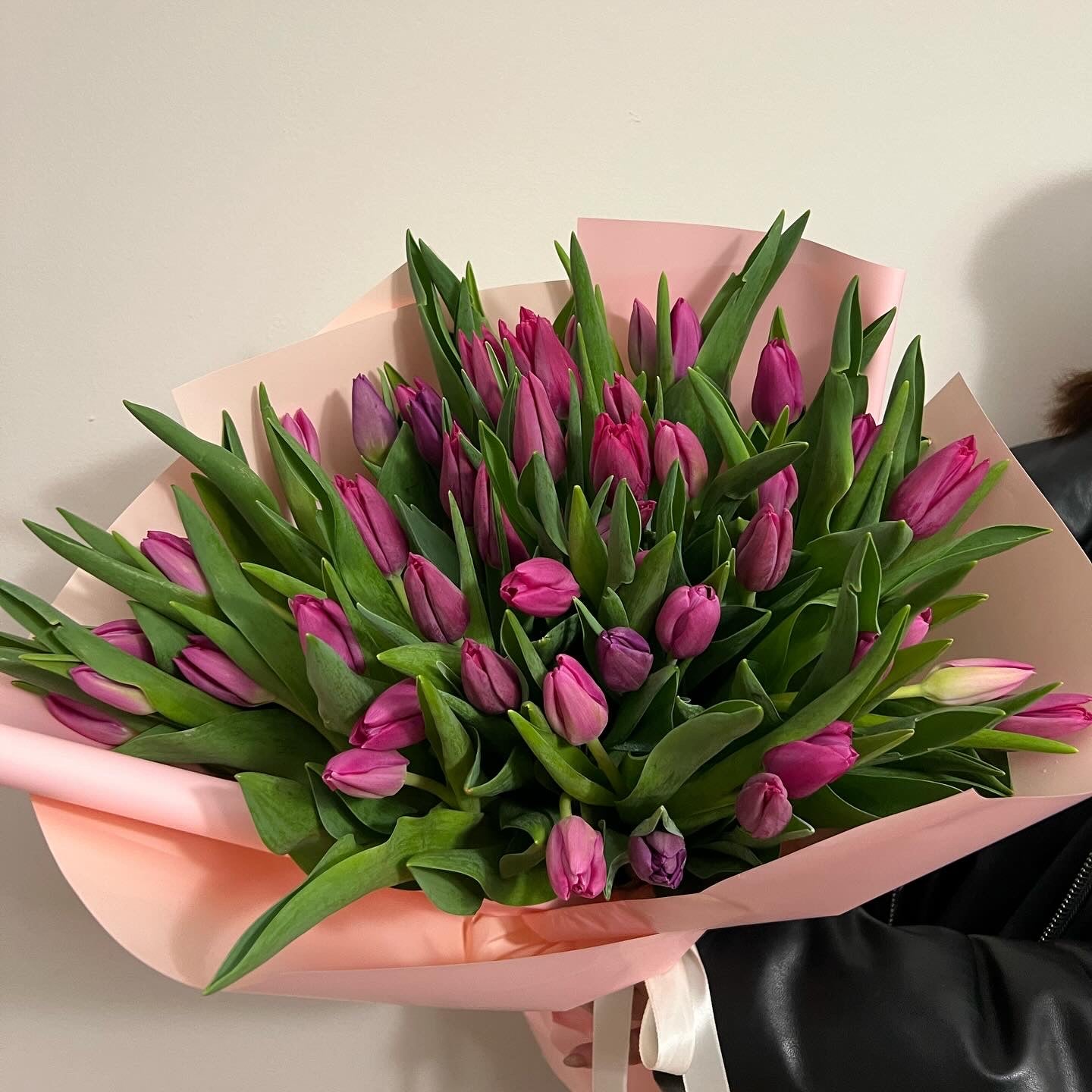 75 Pink Tulips