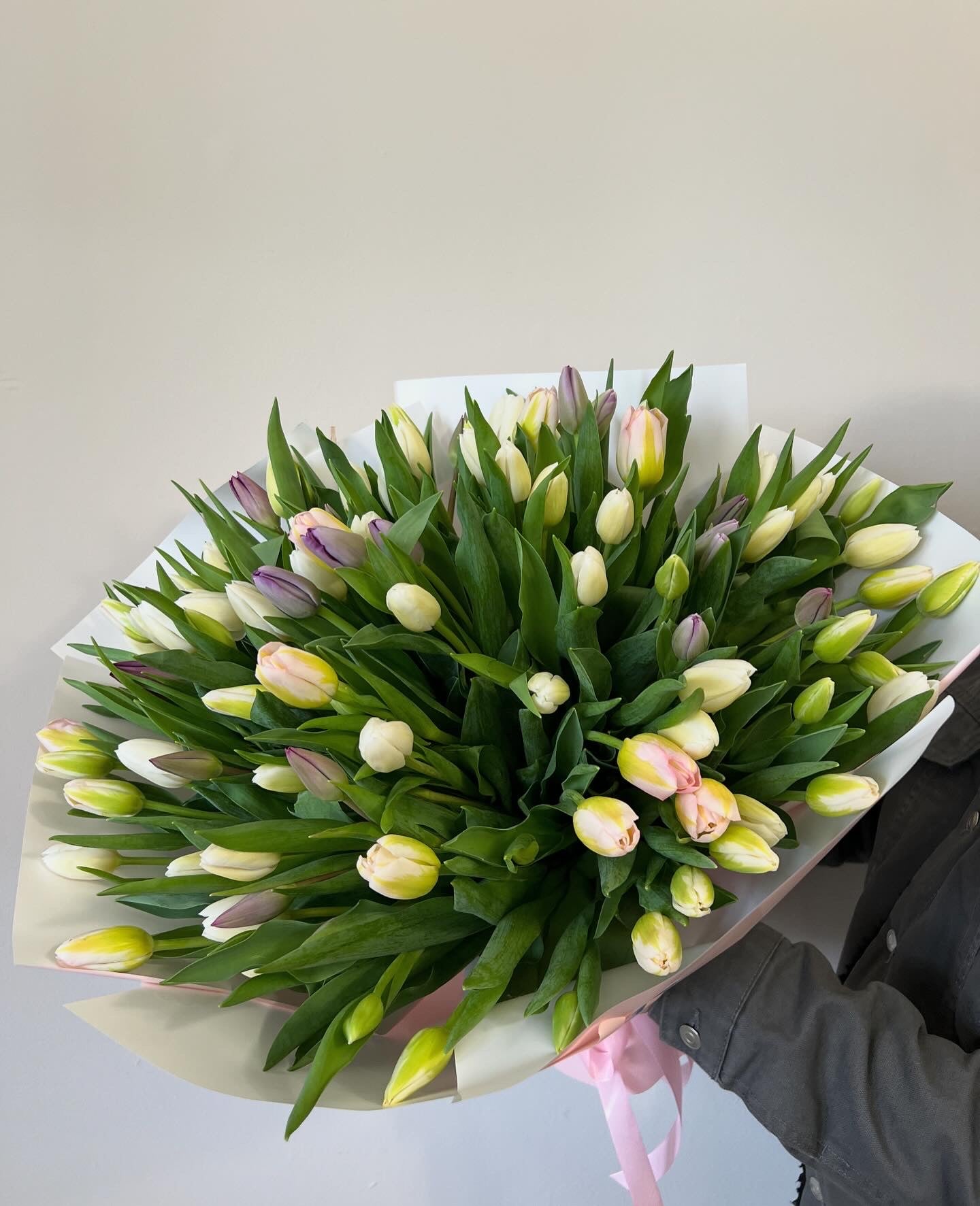 101 Pastel Tulip Mix