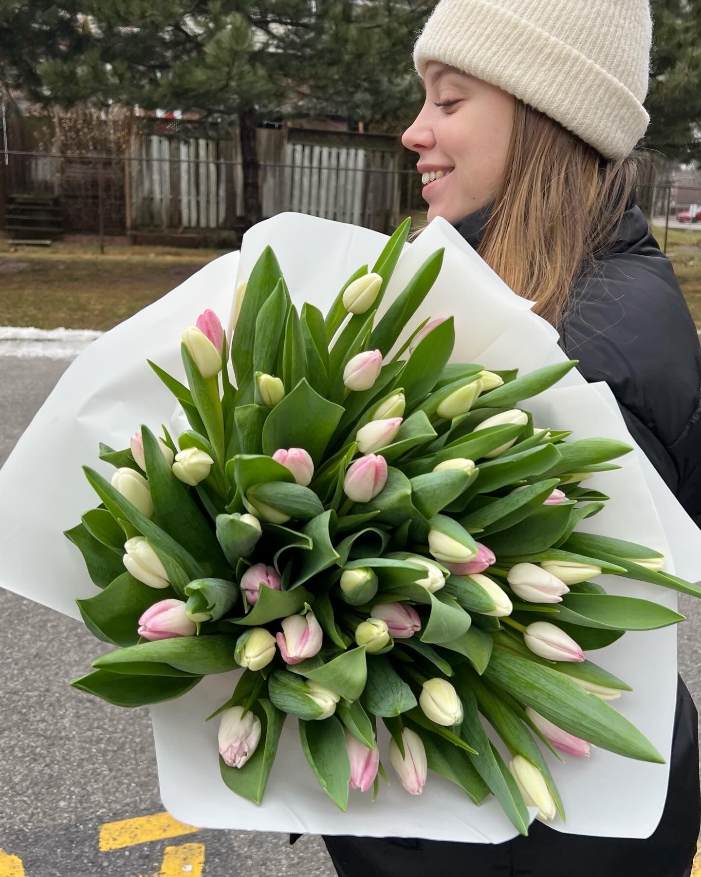 51 Pink & White Tulips