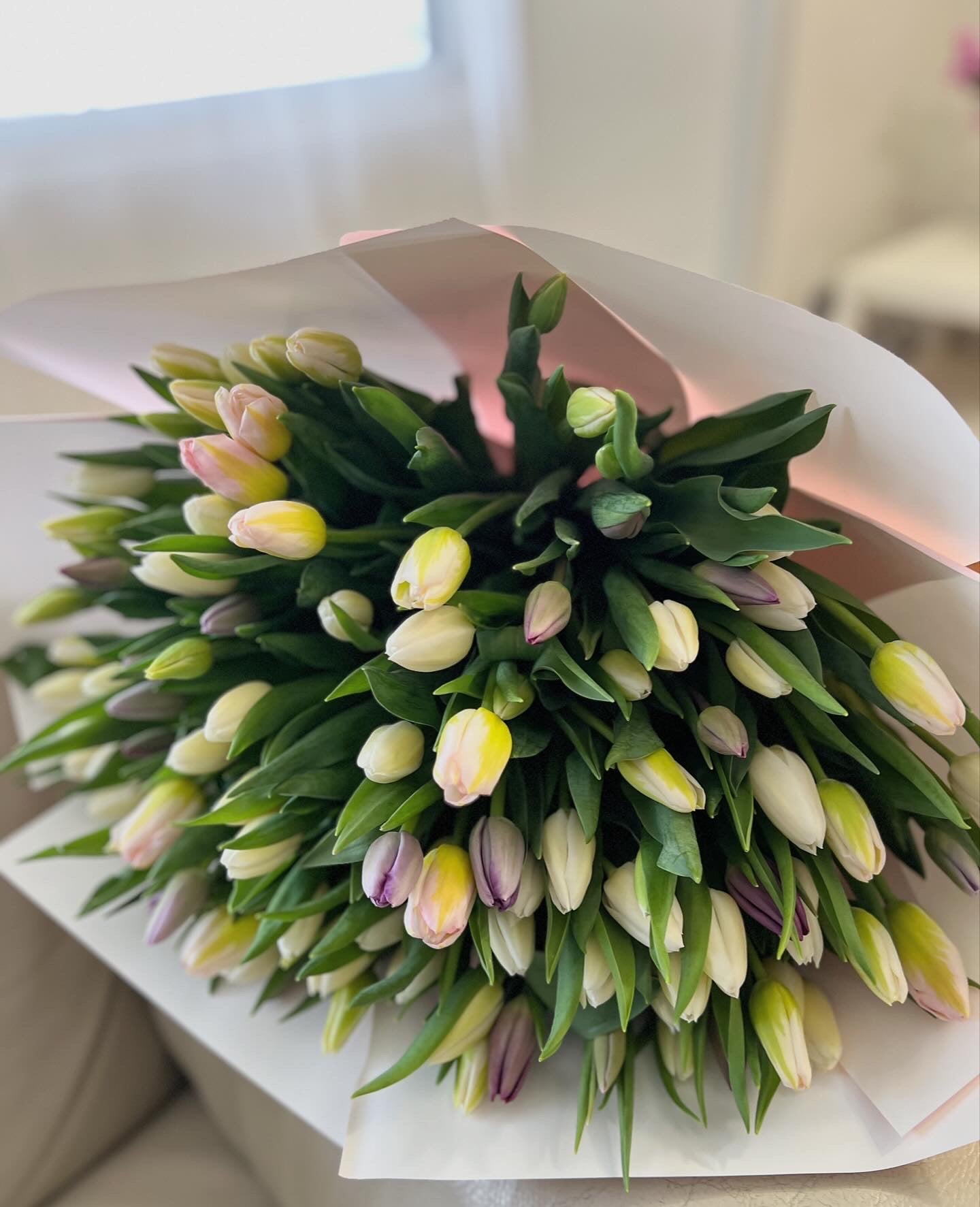 101 Pastel Tulip Mix