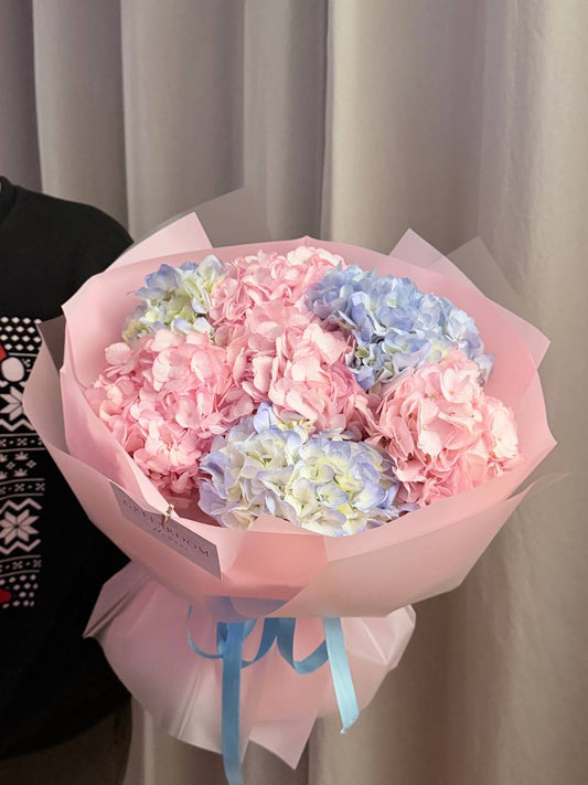 Pink & Sky Hydrangeas
