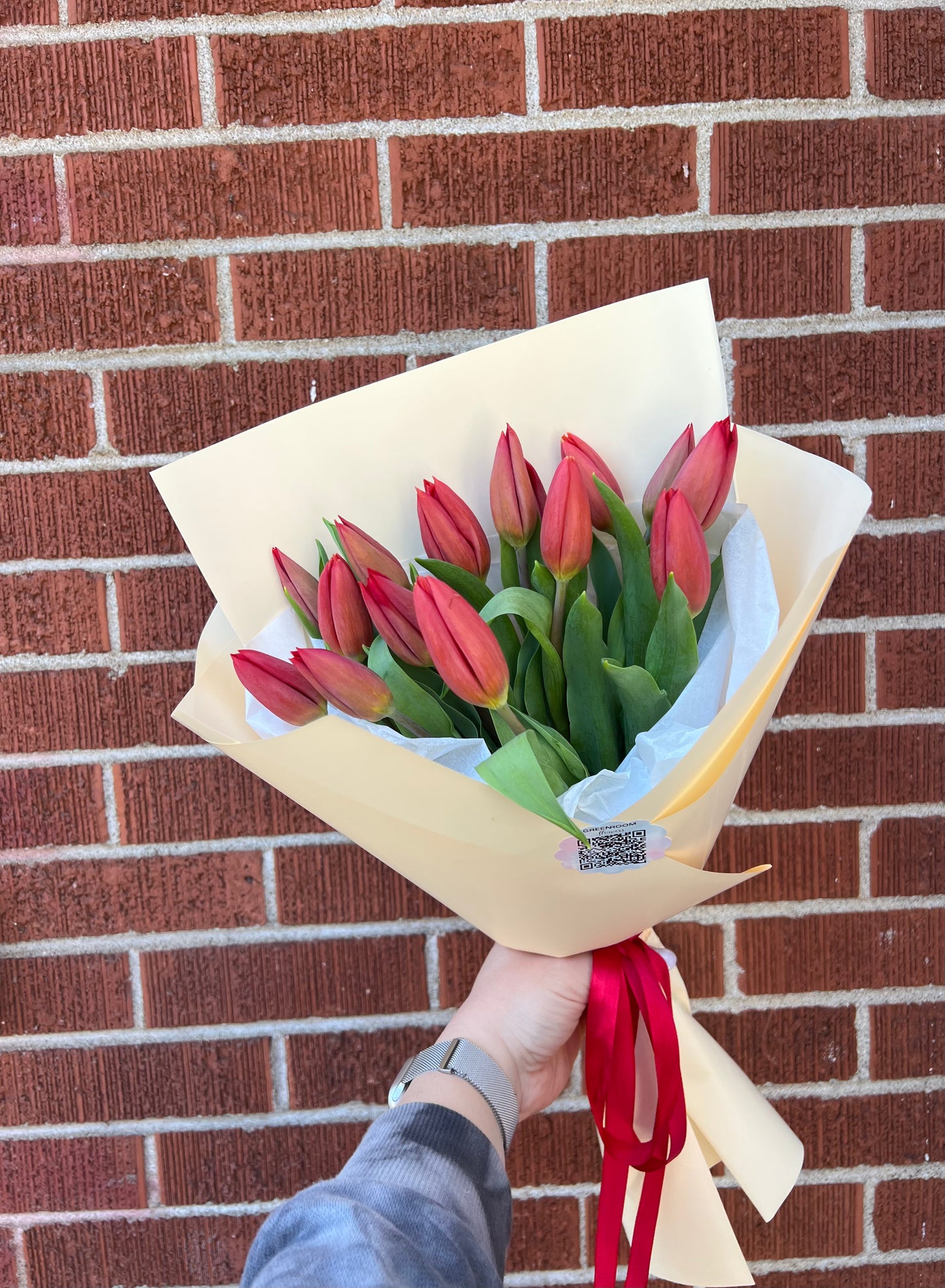 Premium Red Tulips