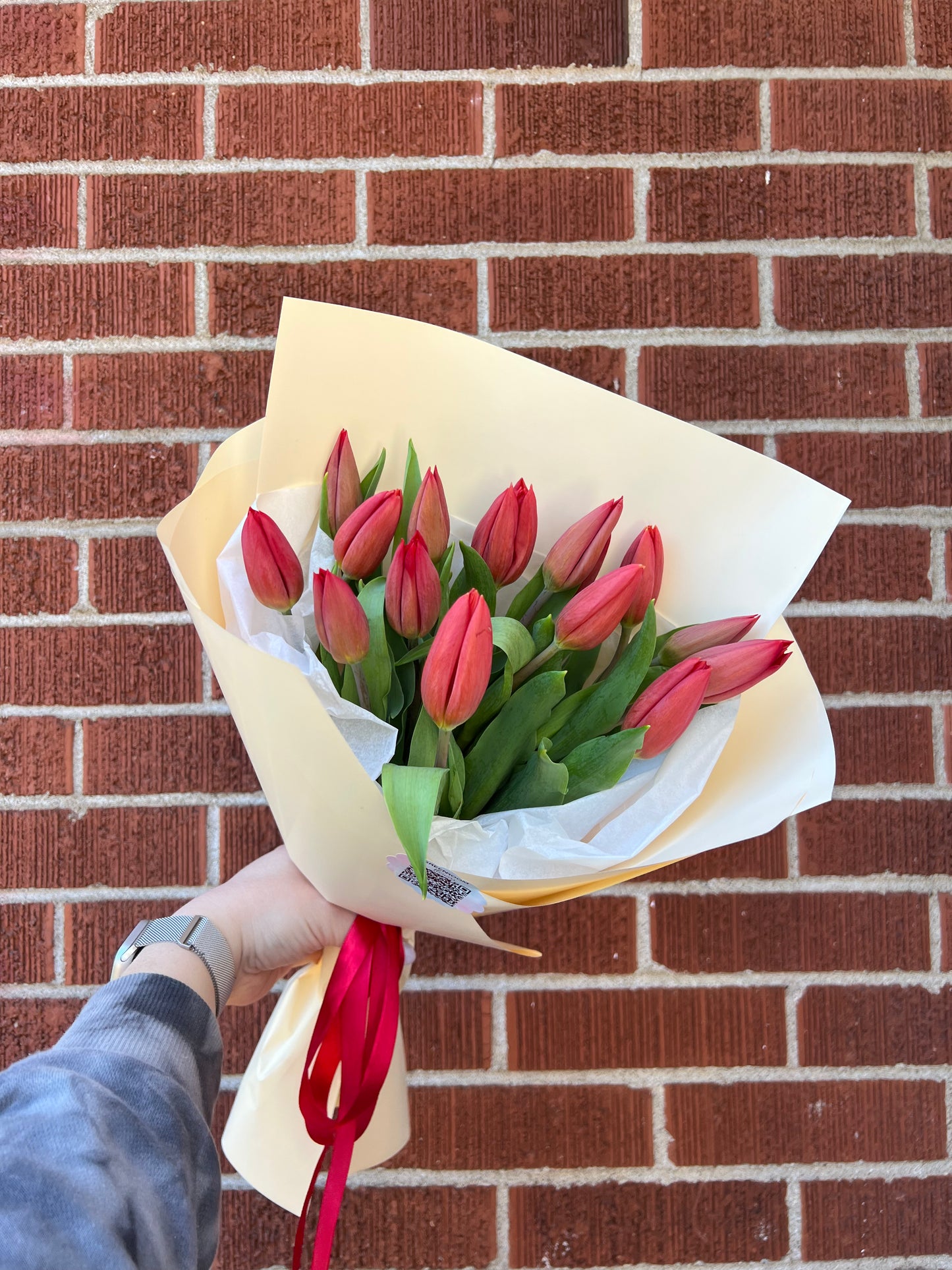 Premium Red Tulips