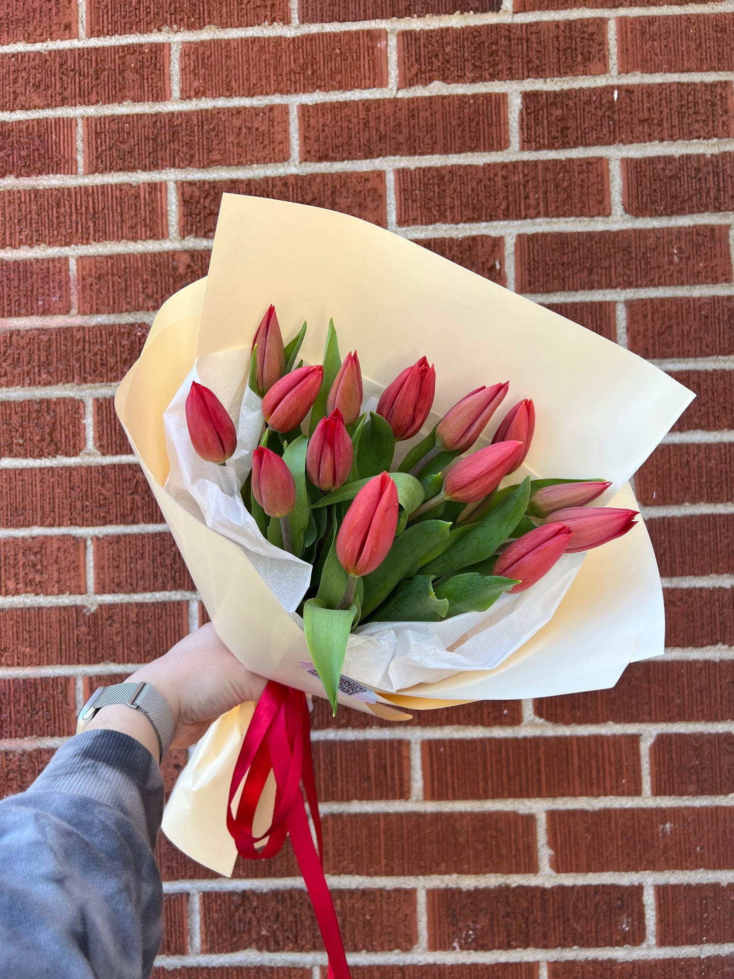 Premium Red Tulips