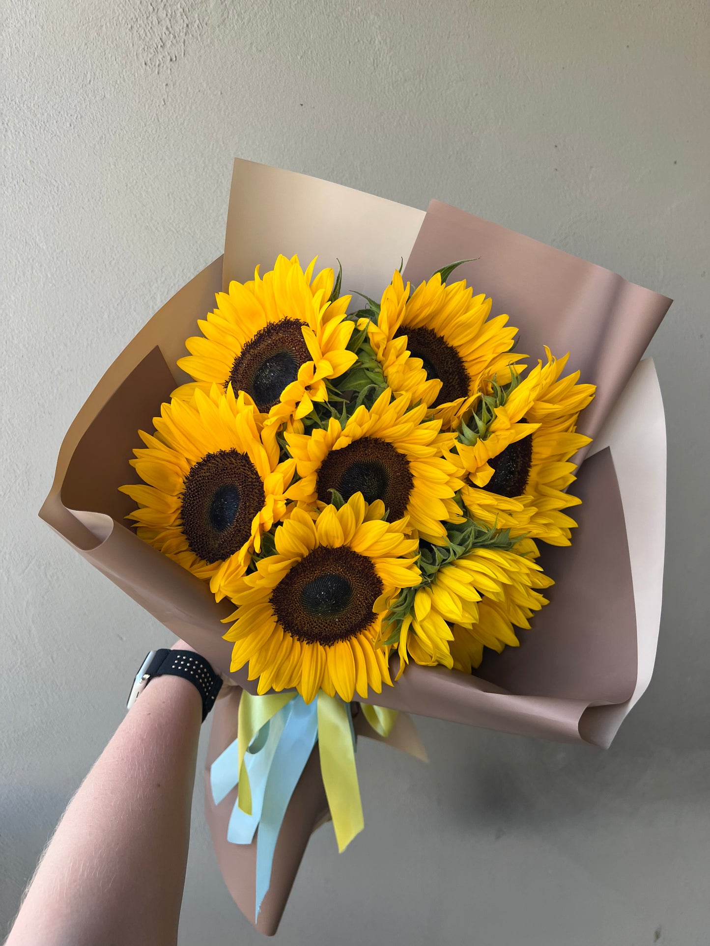 Golden Sunbeam