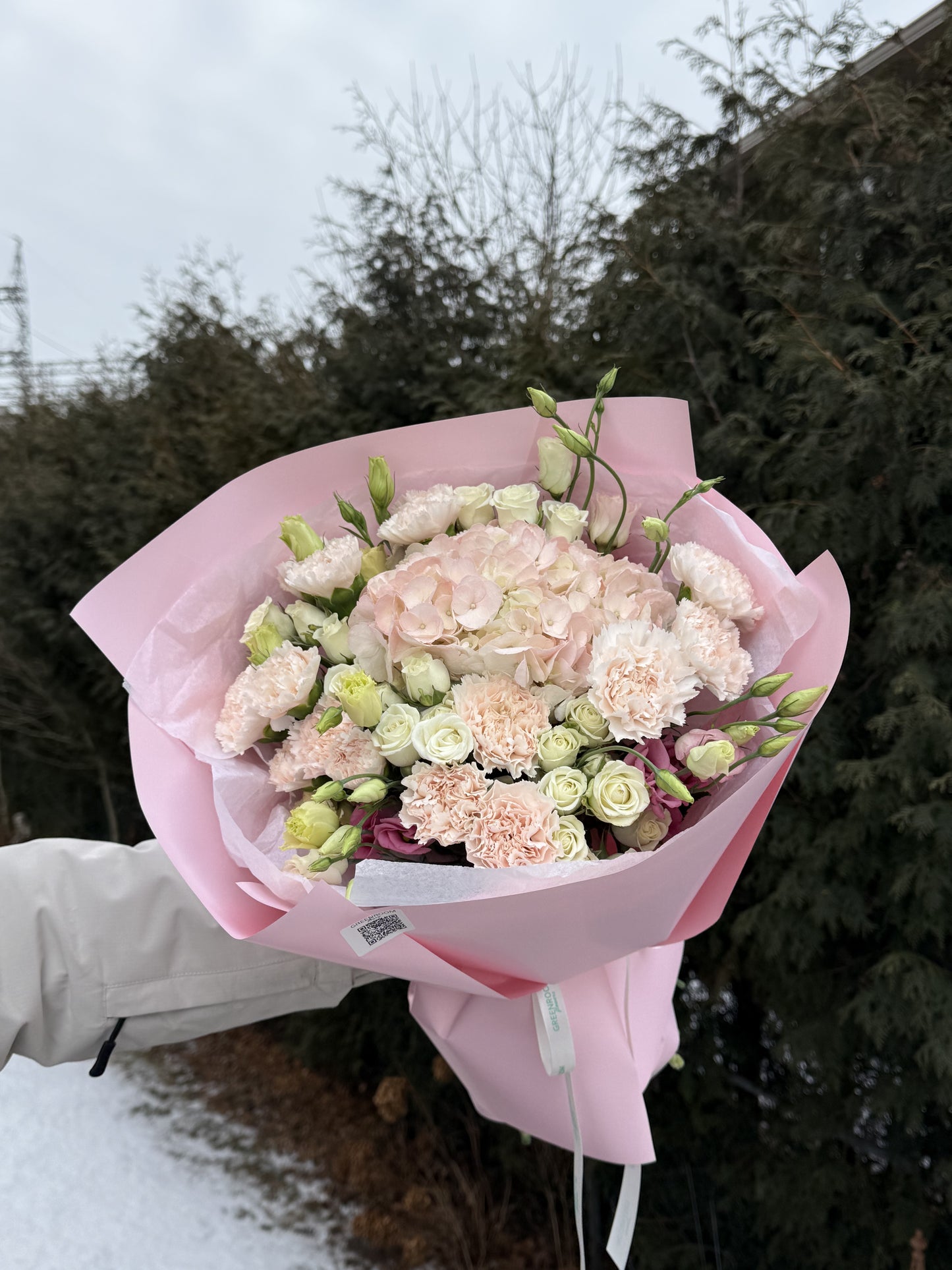 Blush Hydrangea & Carnation Dream