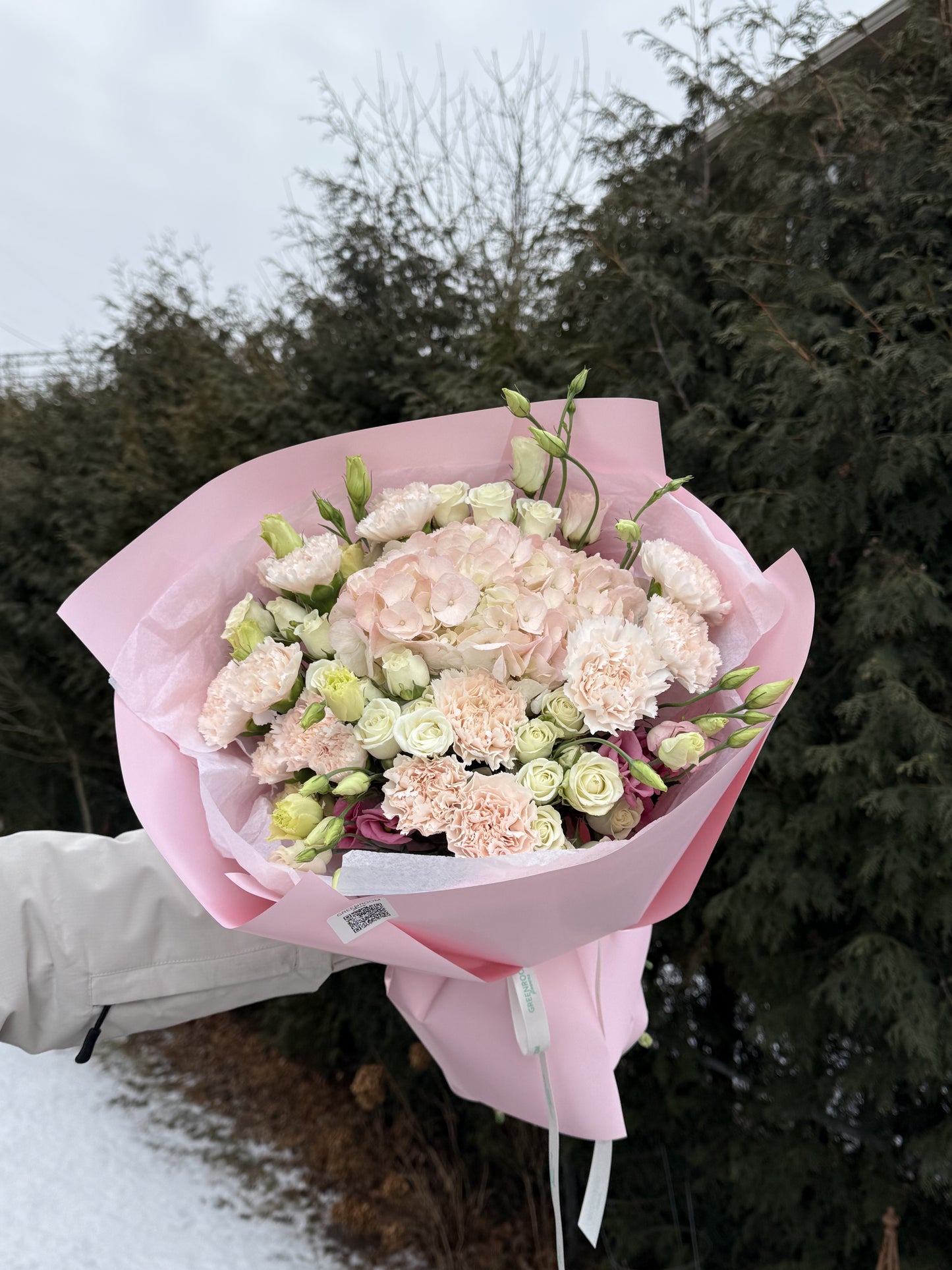 Blush Hydrangea & Carnation Dream