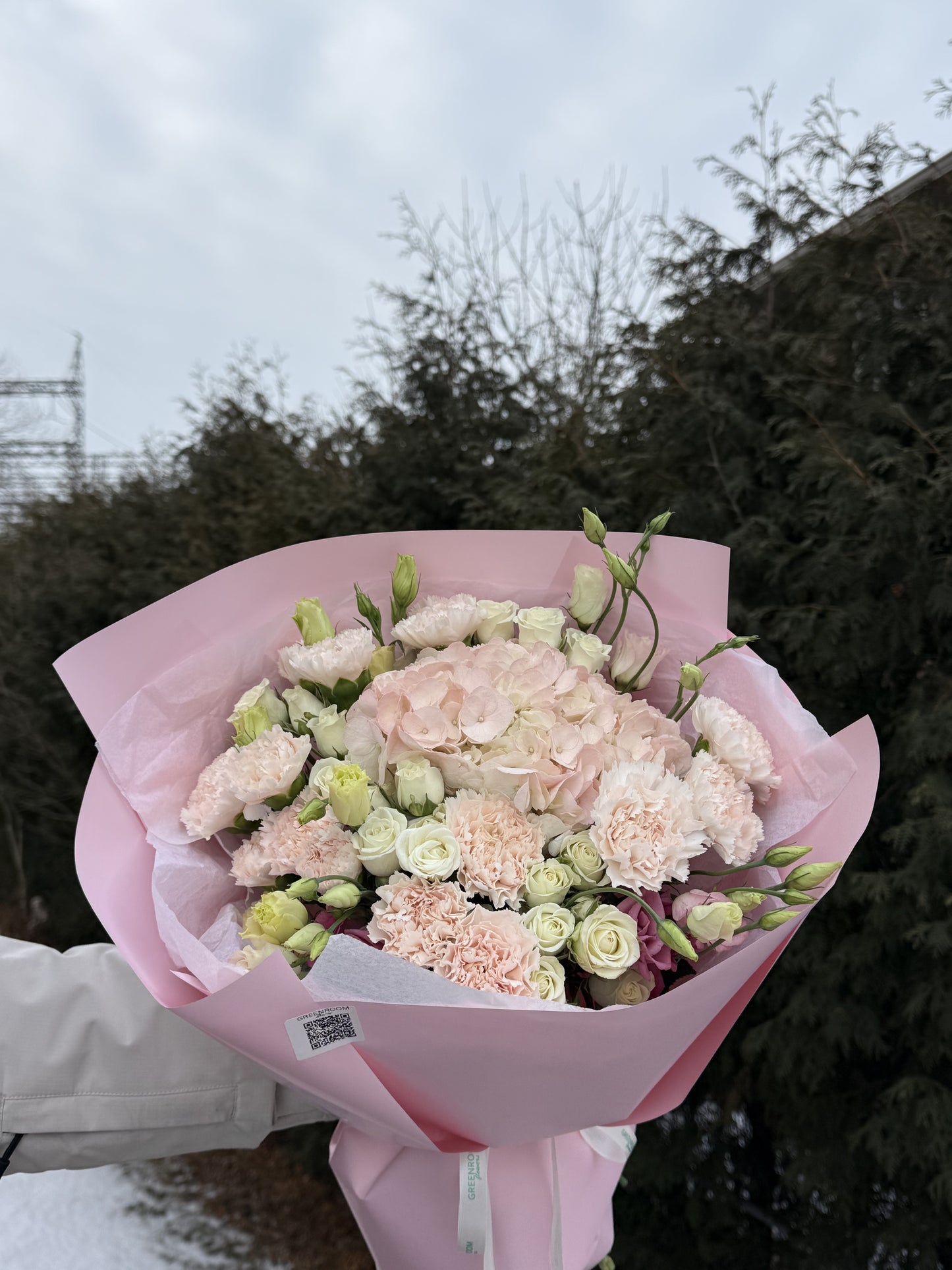 Blush Hydrangea & Carnation Dream