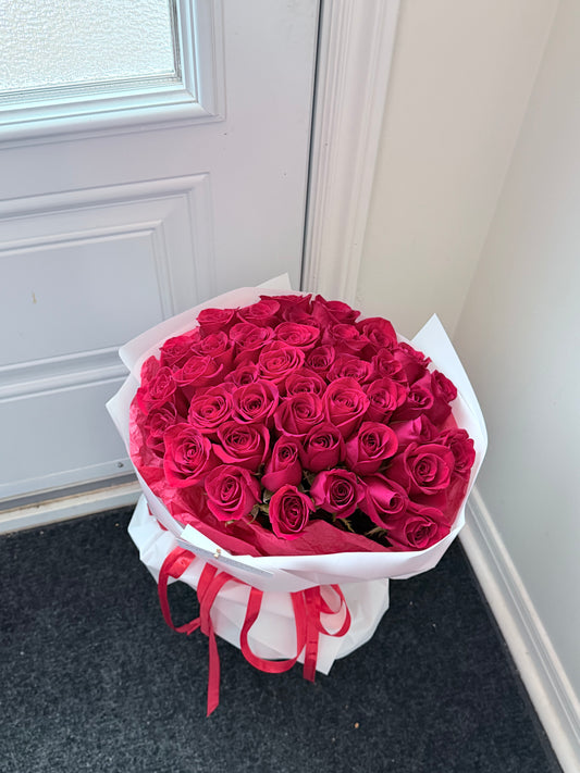 Hot Red Roses