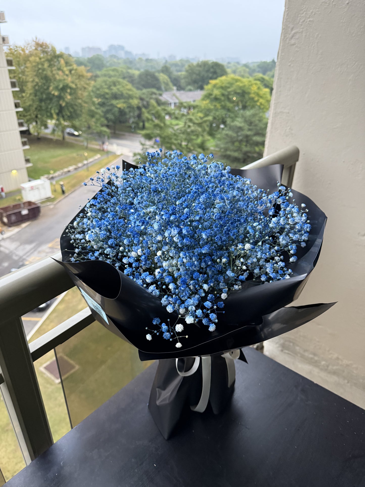 Blue Baby's Breath