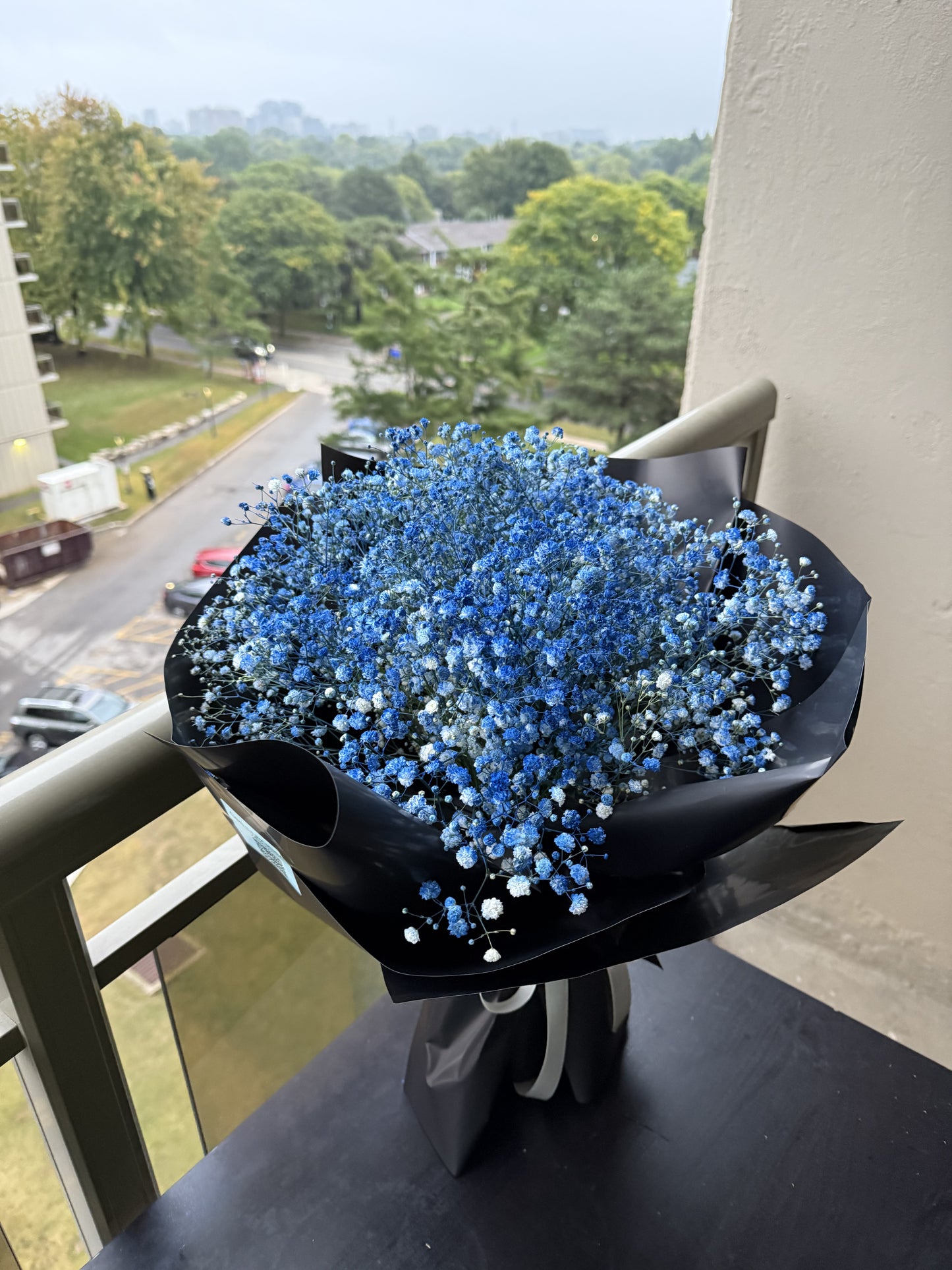 Blue Baby's Breath