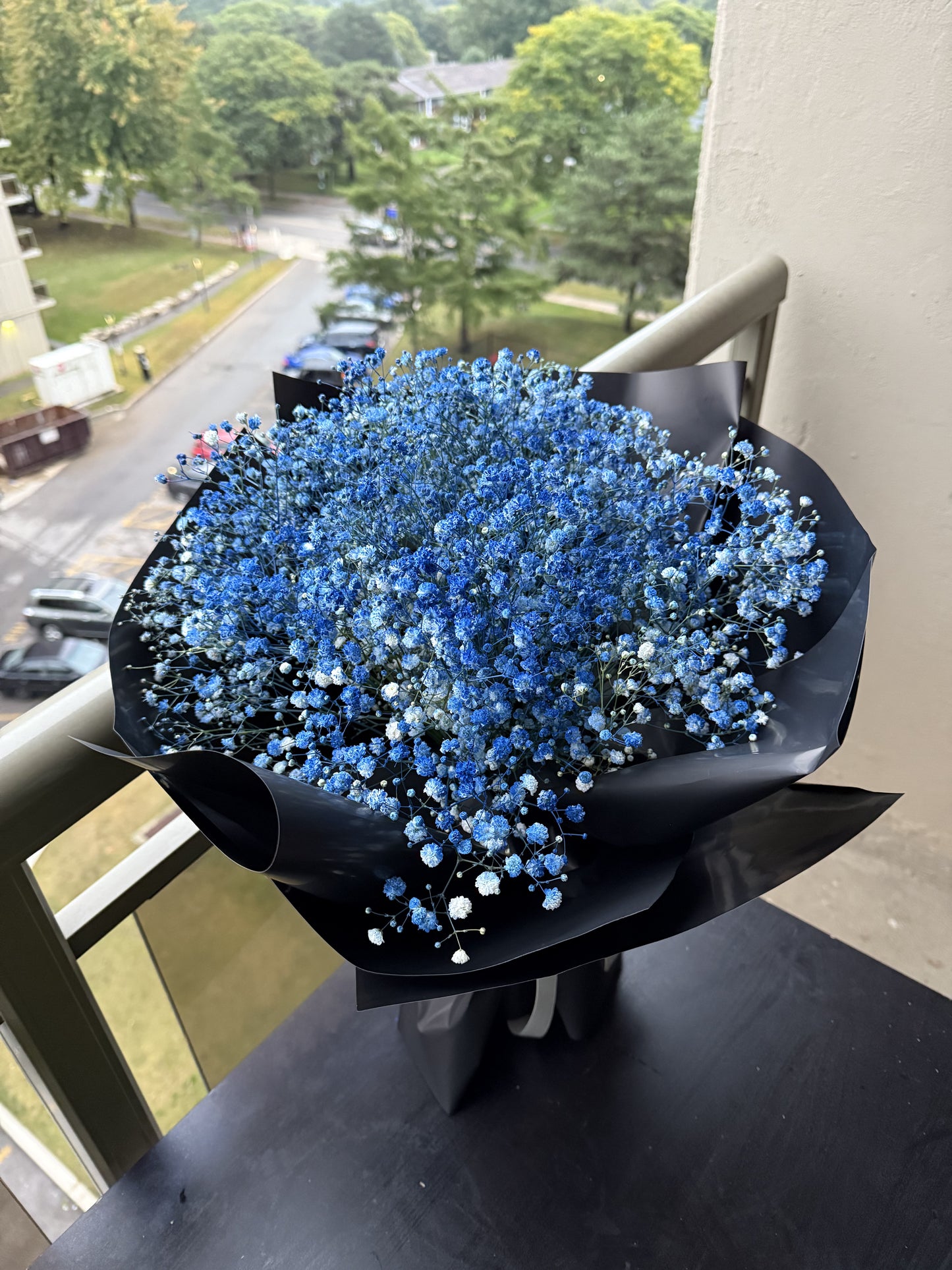 Blue Baby's Breath