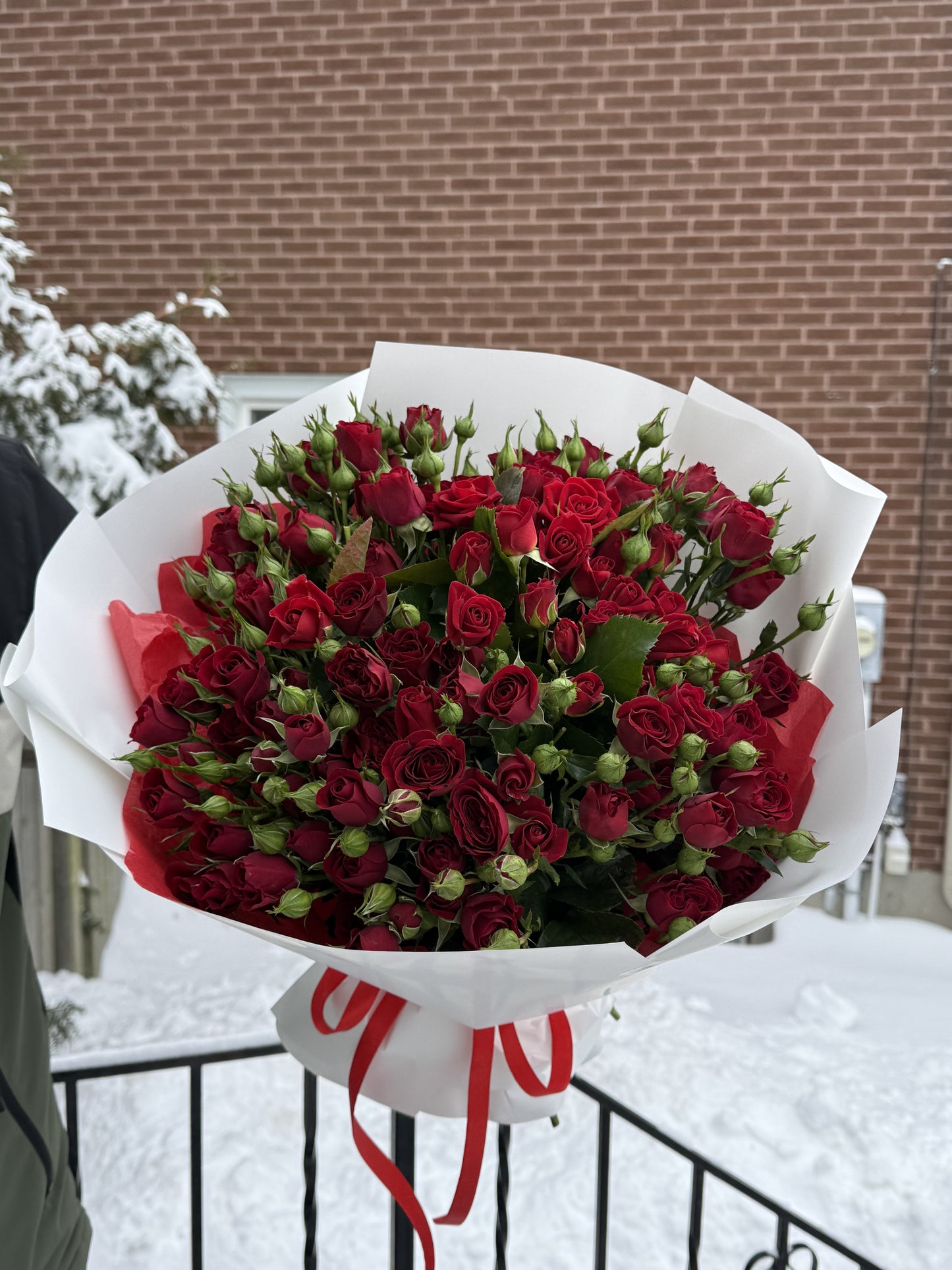 Red Spray Roses