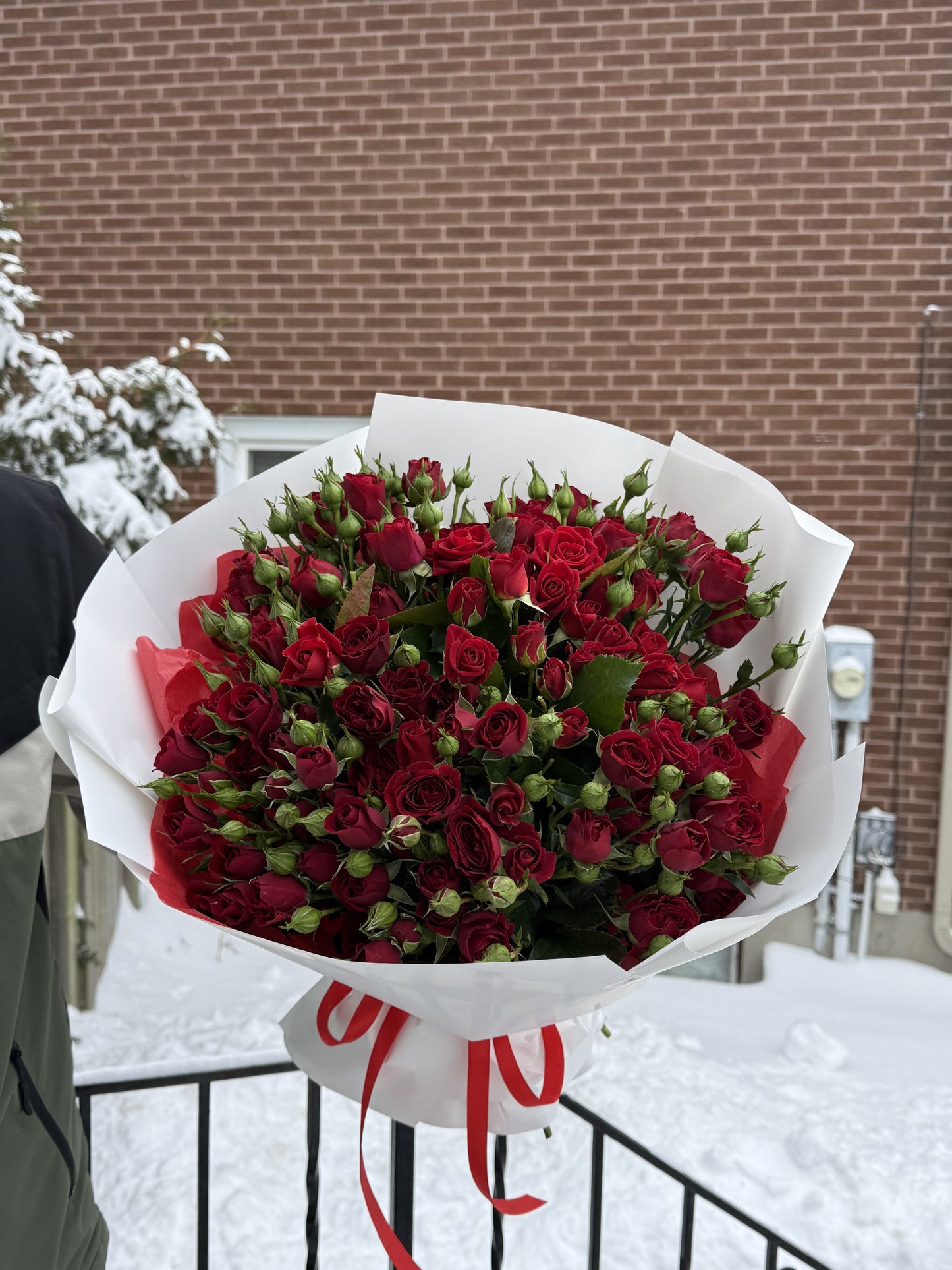 Red Spray Roses