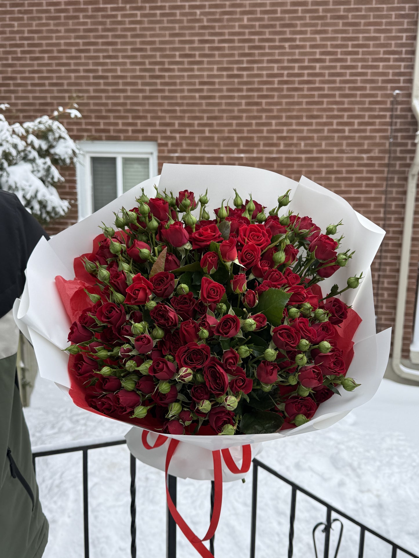 Red Spray Roses