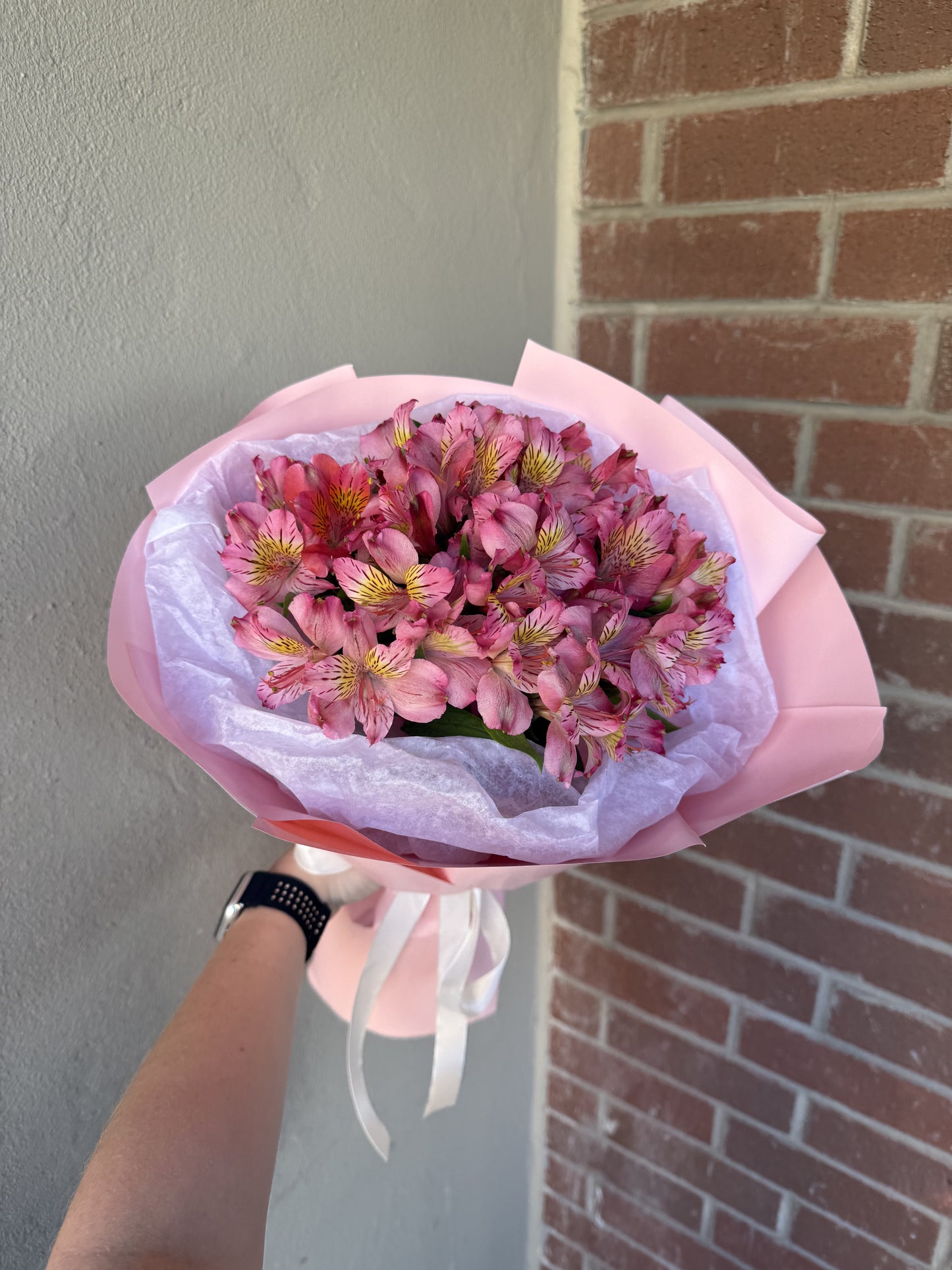 Pink Alstroemeria