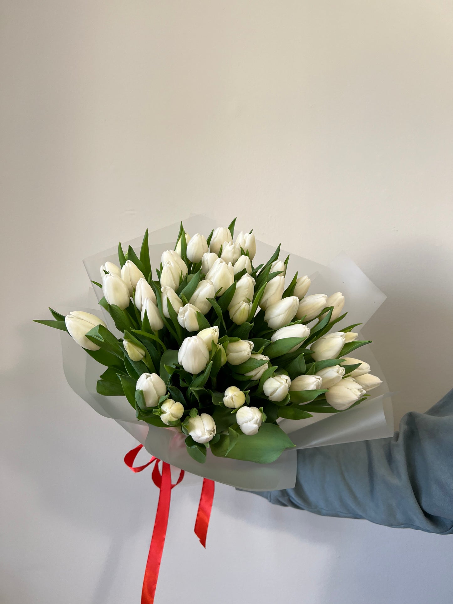 65 White Tulips