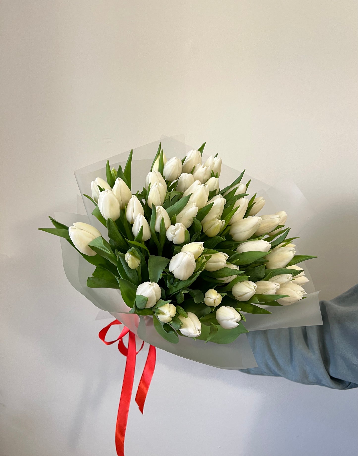 65 White Tulips