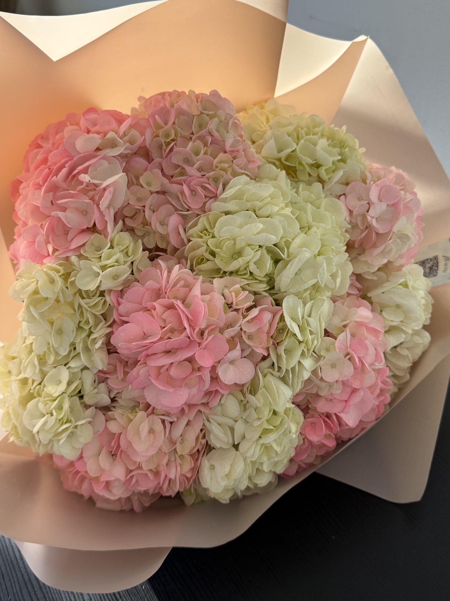 Strawberry & Cream Hydrangea Cloud