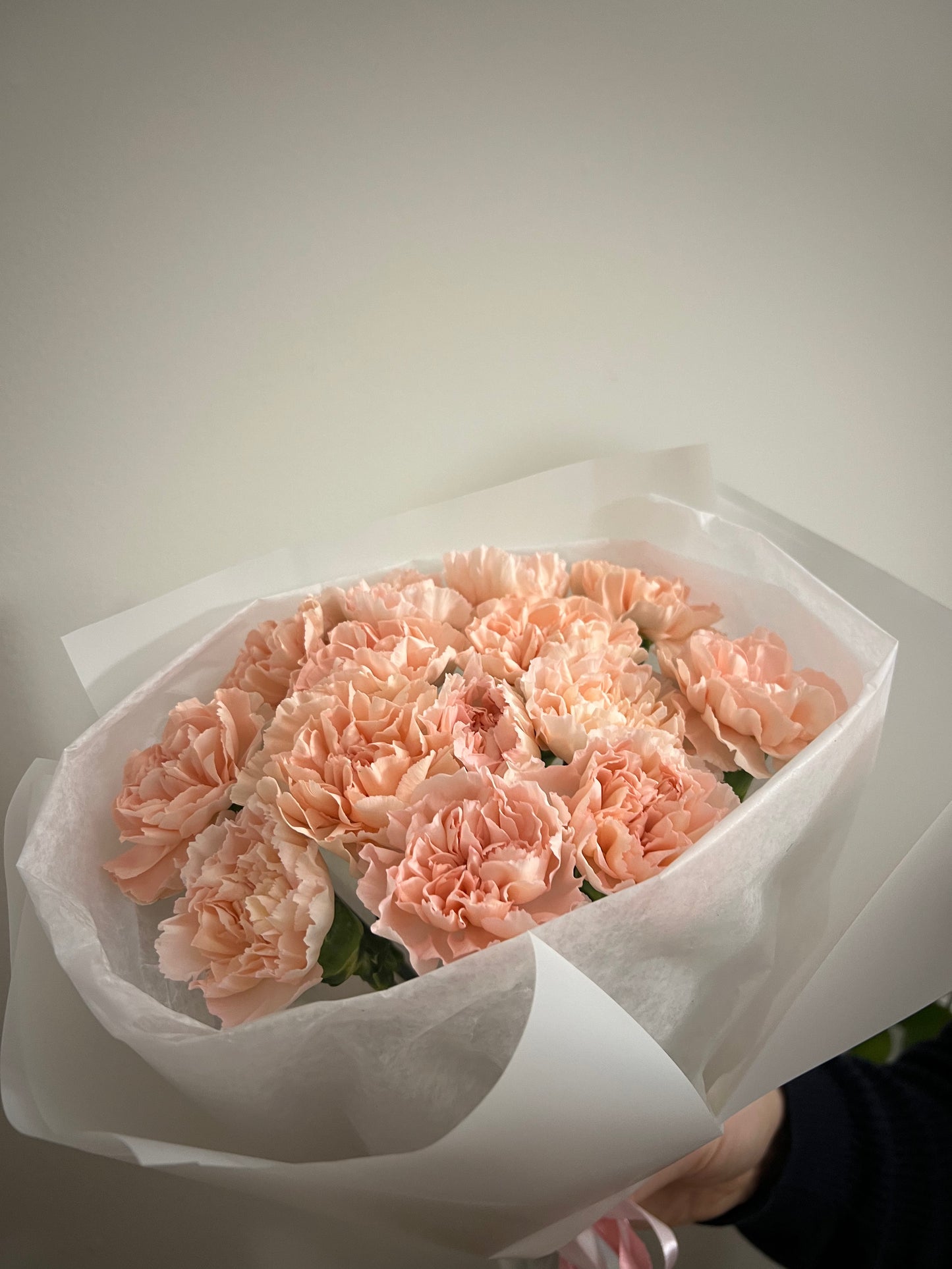 Peach Carnation