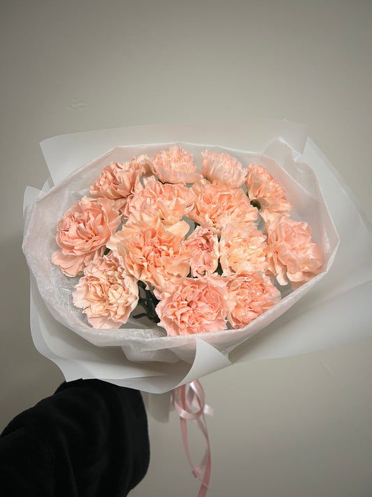 Peach Carnation