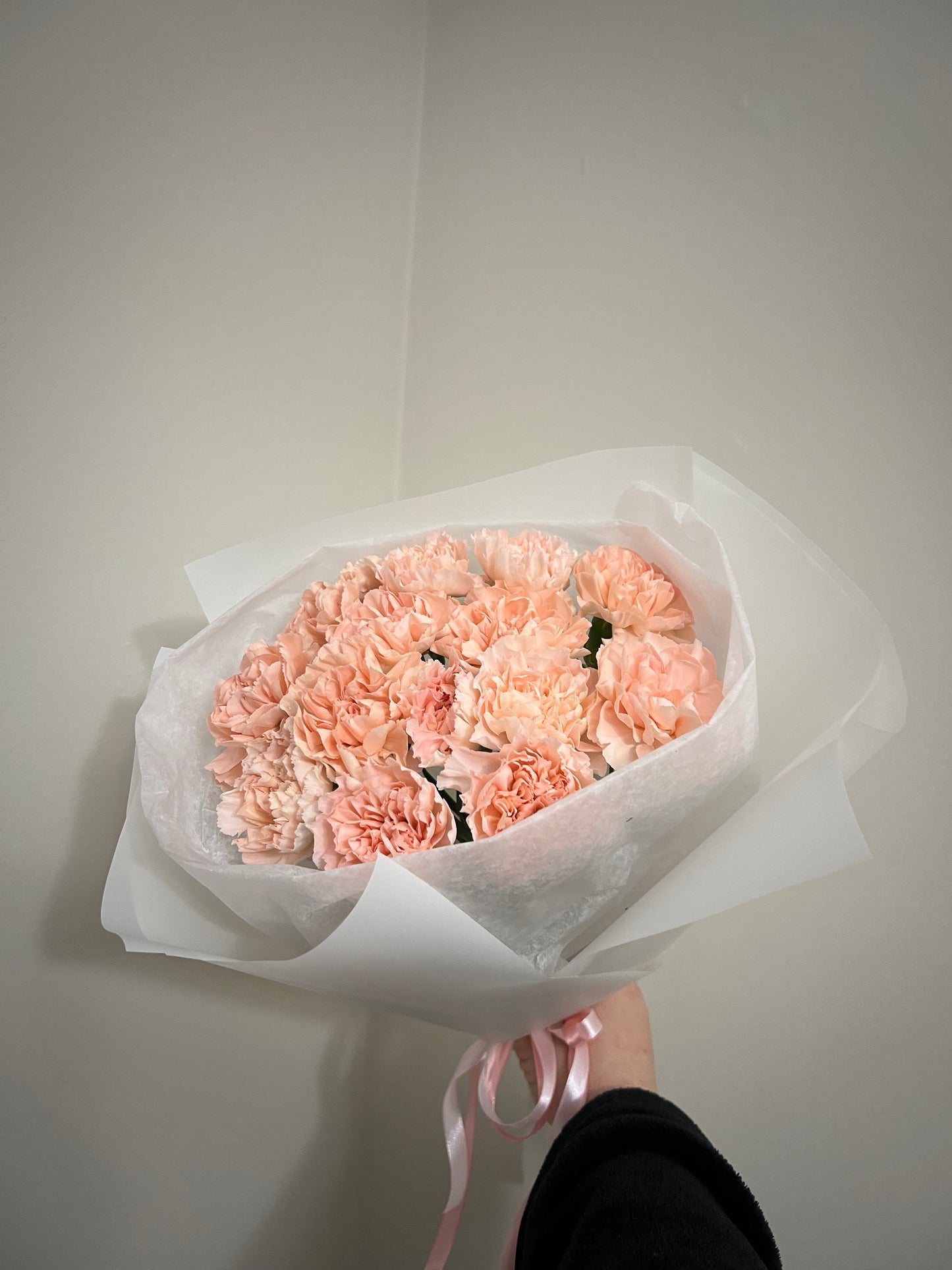 Peach Carnation