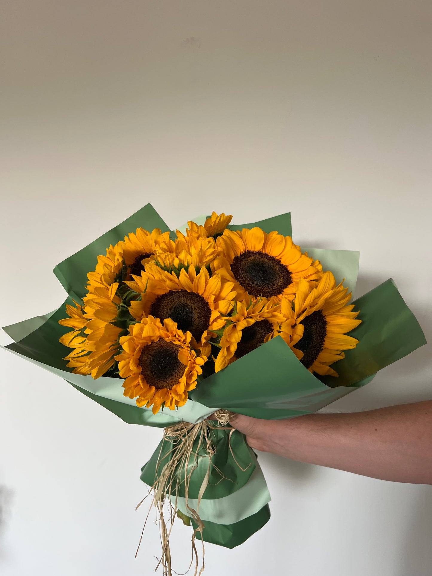 Sunflower Harvest