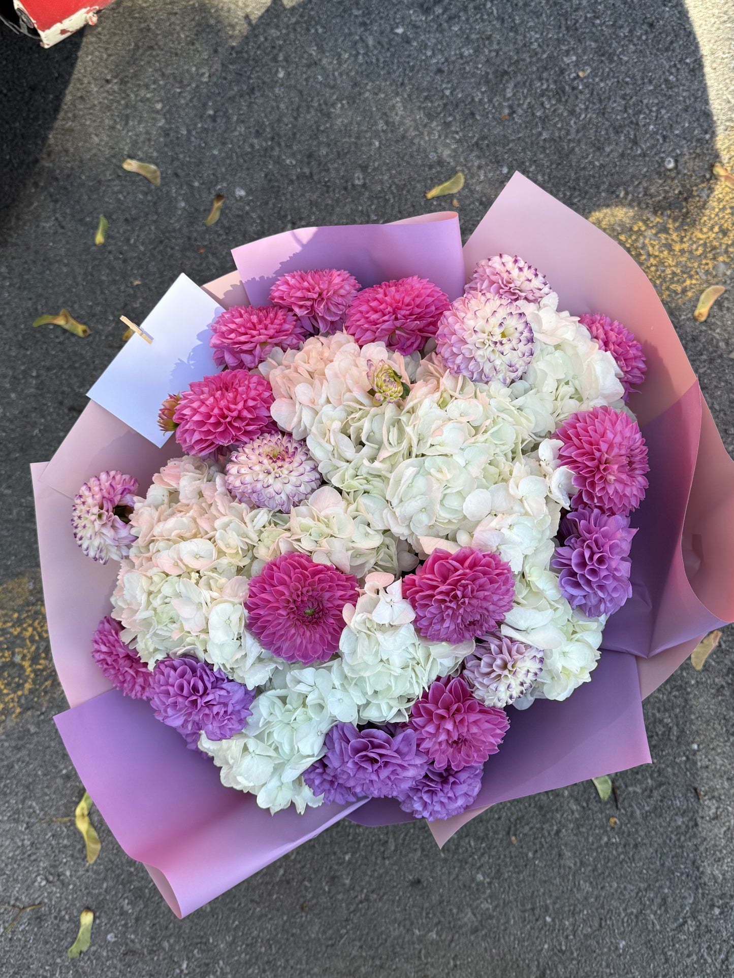 Dahlia and Hydrangeas Luxe