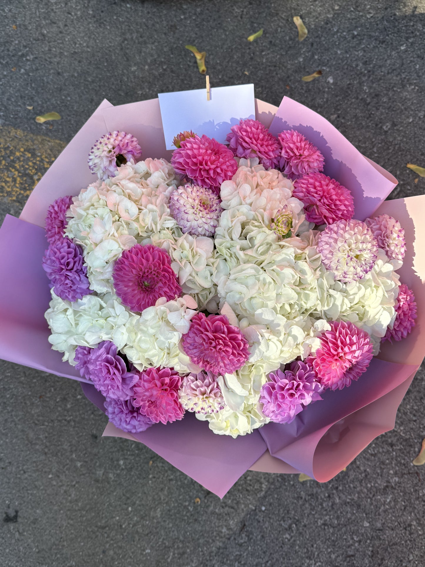 Dahlia and Hydrangeas Luxe