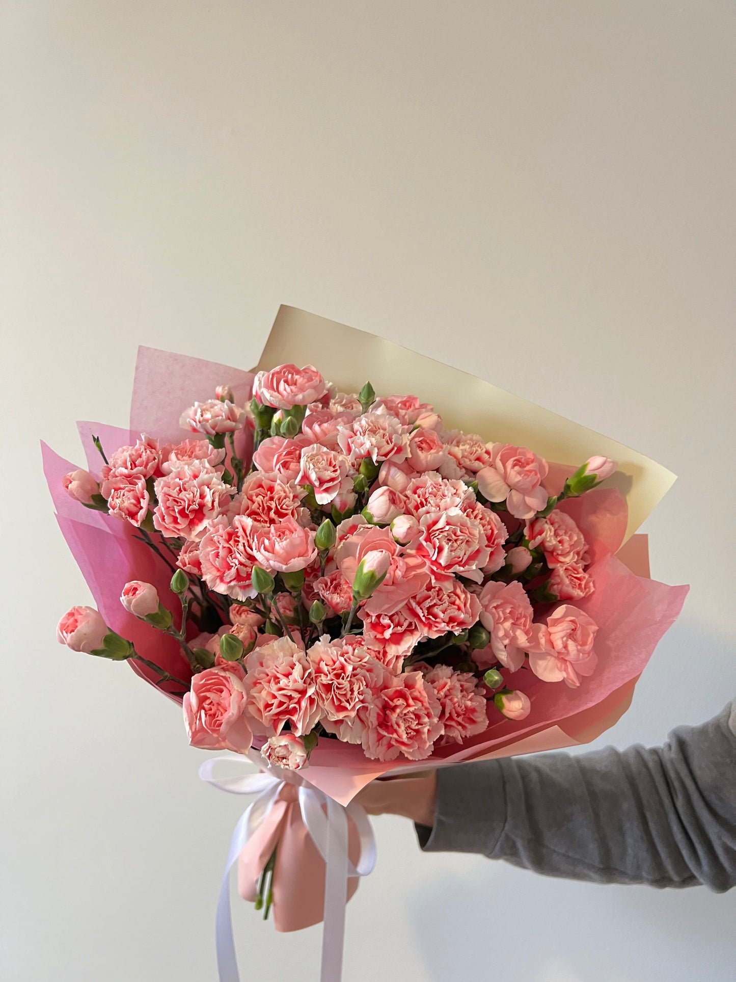 Pink Spray Carnation