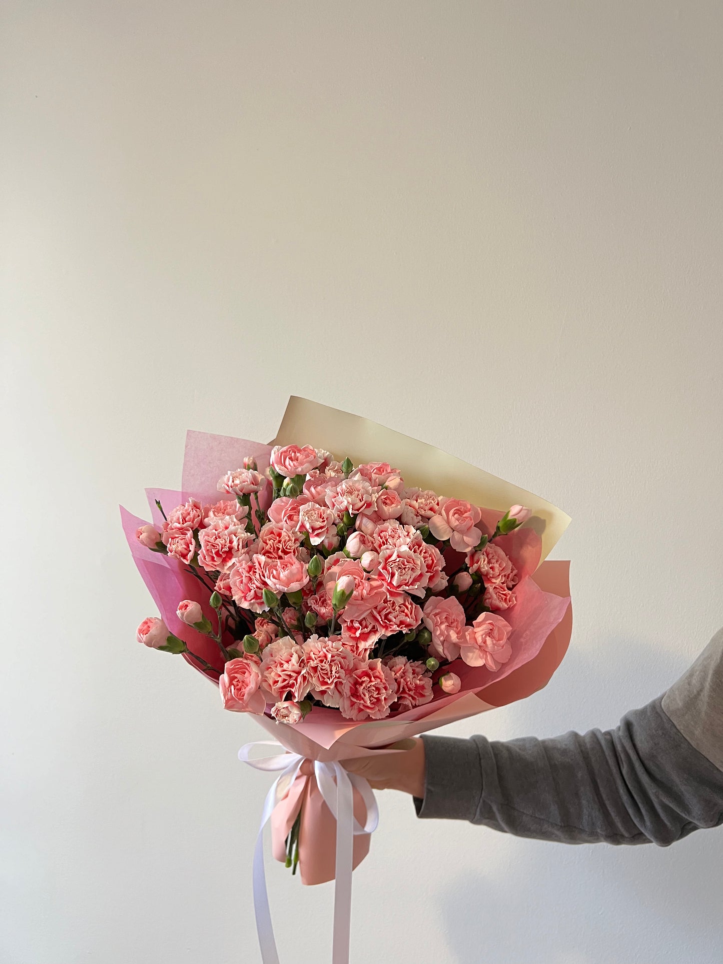 Pink Spray Carnation