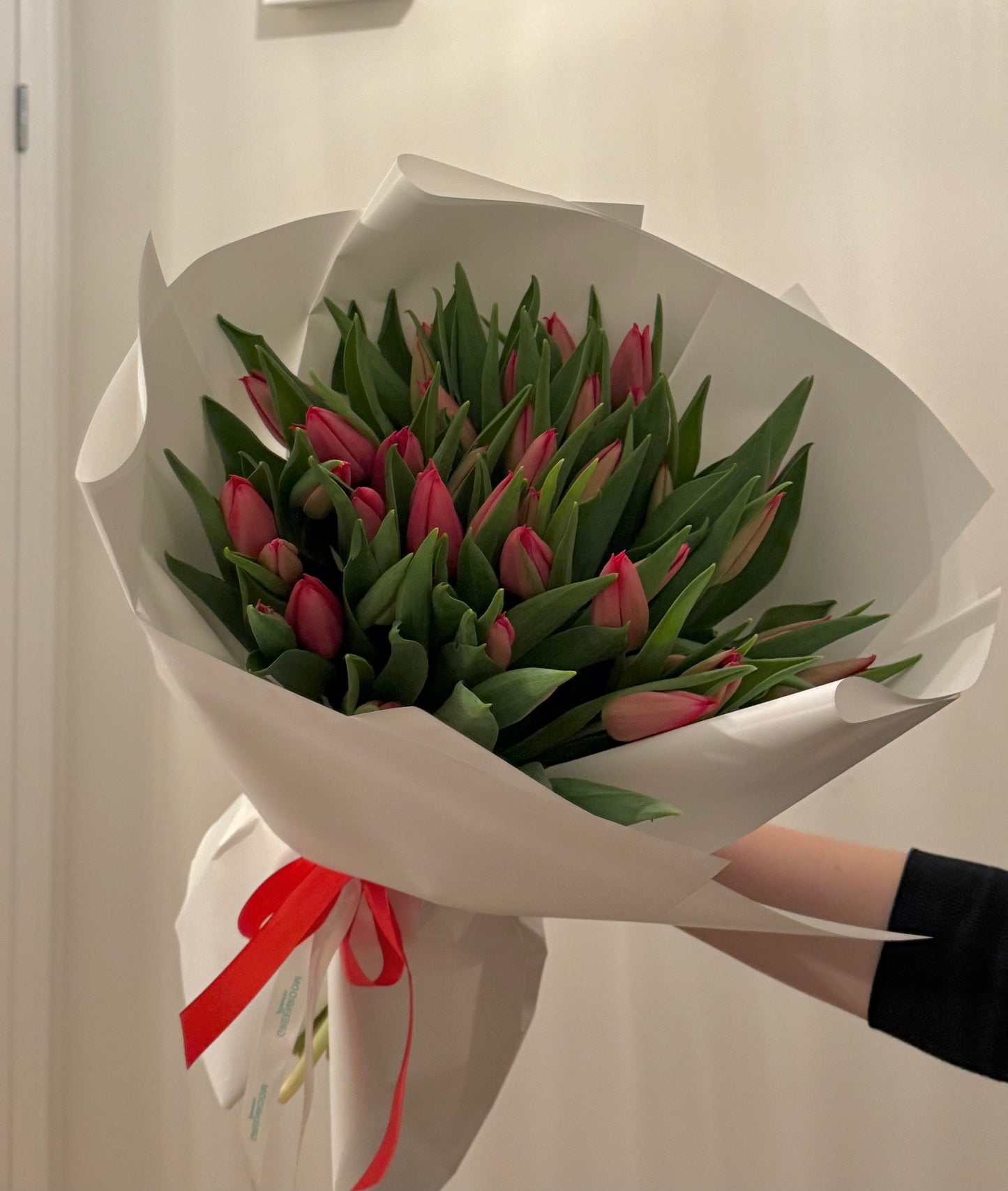 Pink Tulips