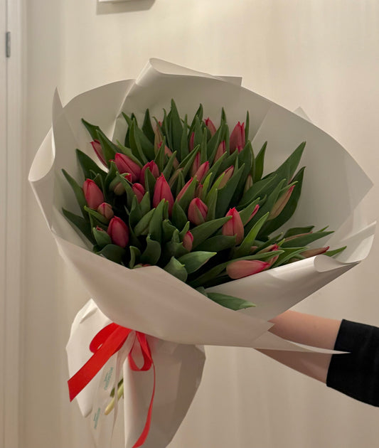 Pink Tulips