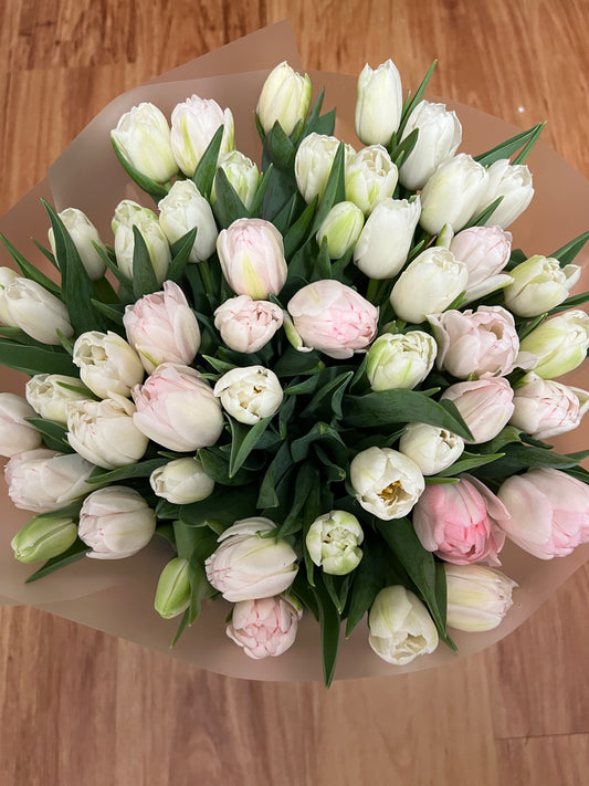 White and Pink Peony-Tulips