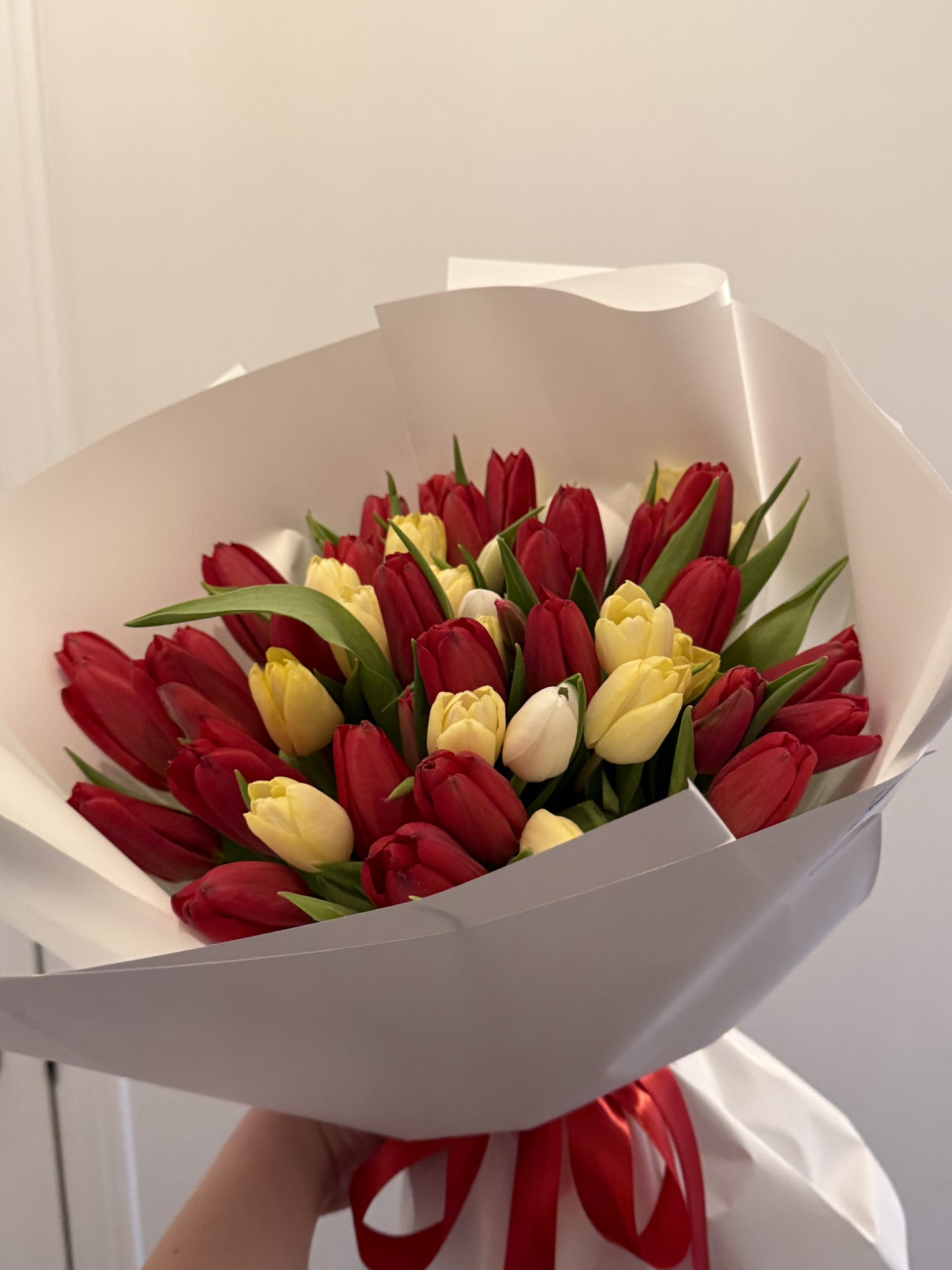 Red and Yellow Mix Tulips