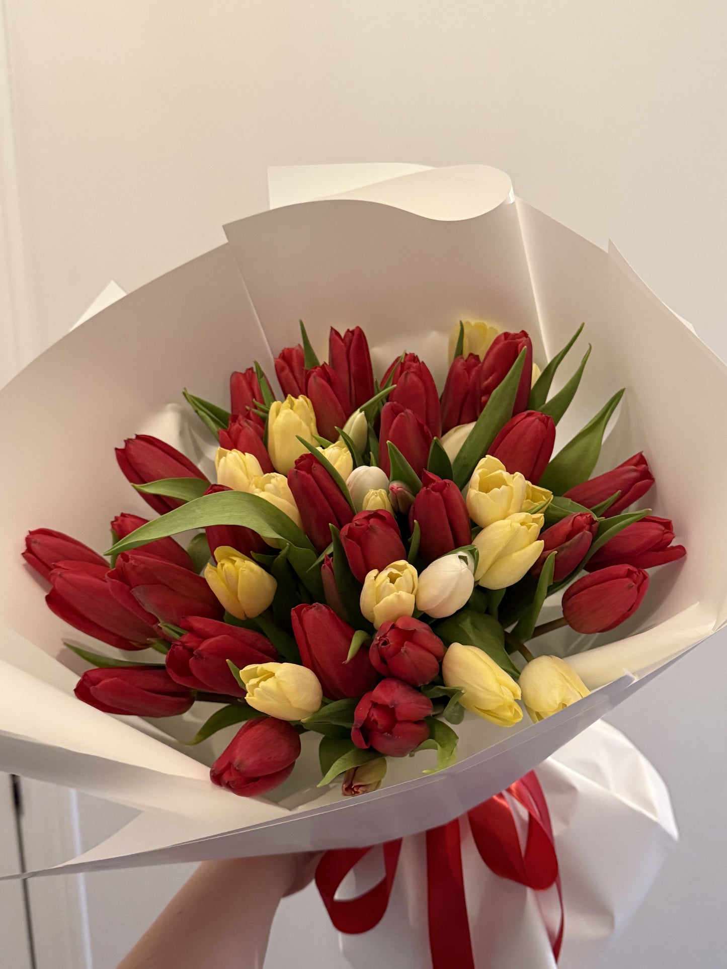Red and Yellow Mix Tulips