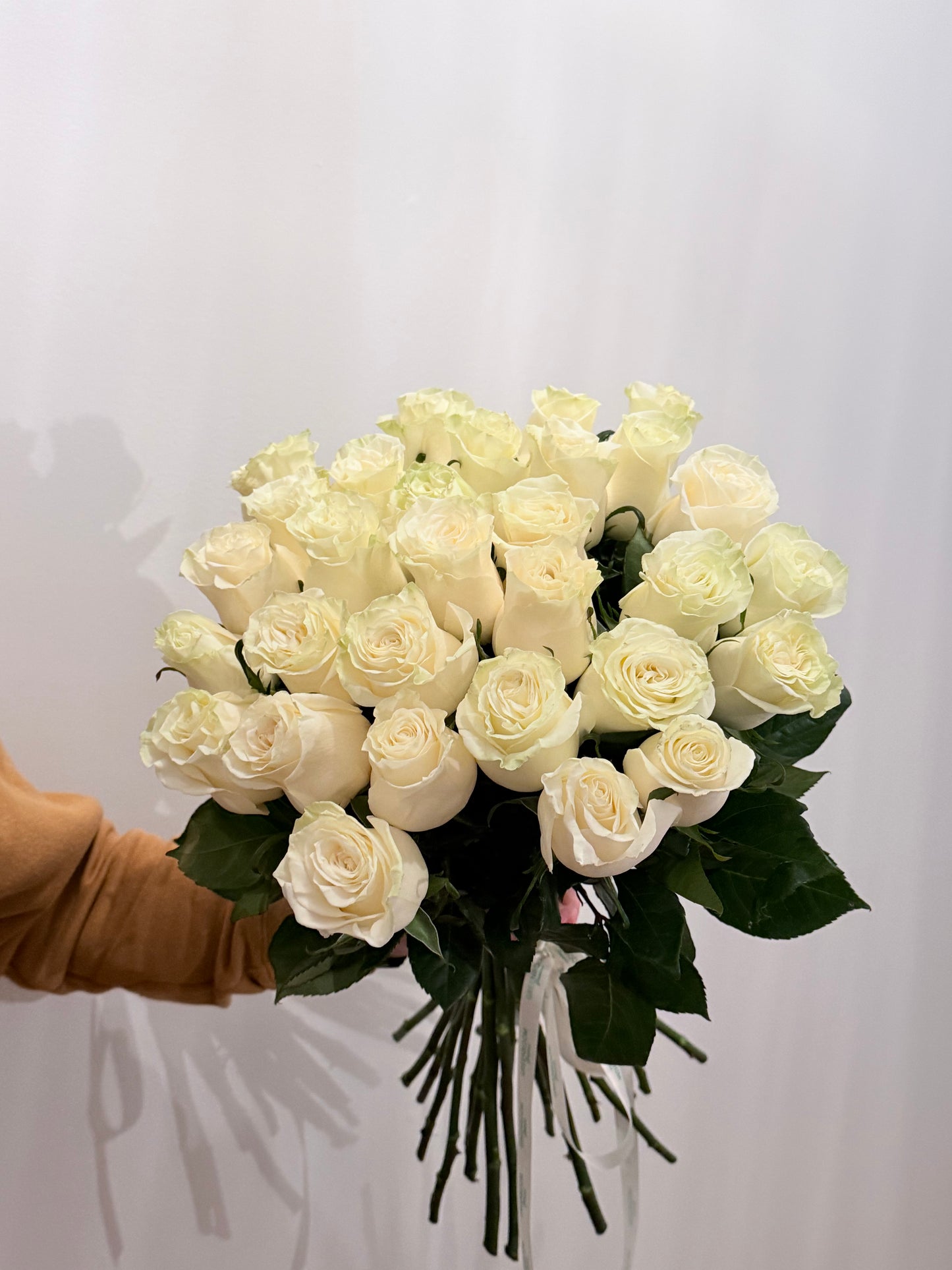 Moonlight  Roses